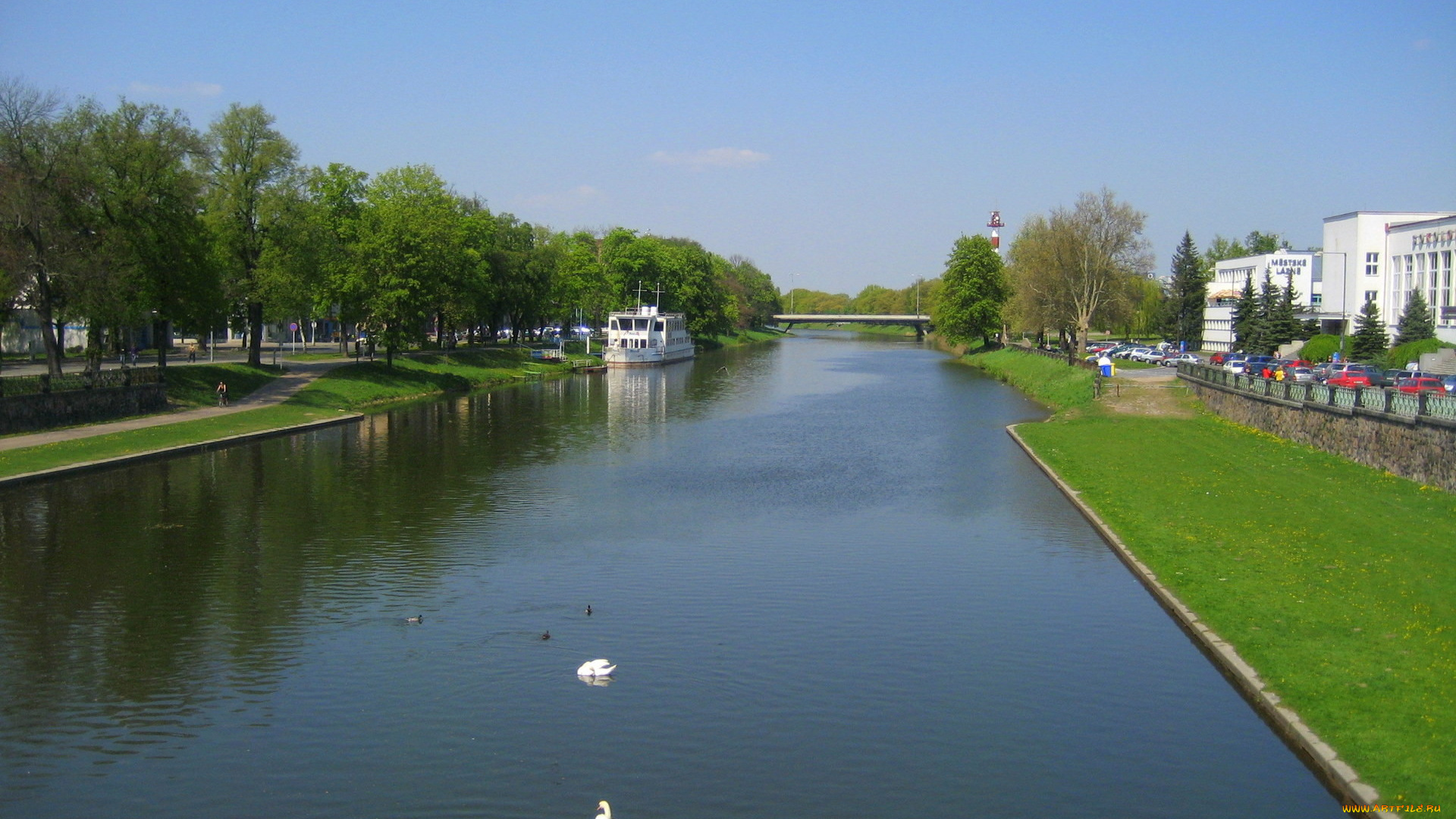 города, улицы, площади, набережные, река, набережная, мост, лебеди
