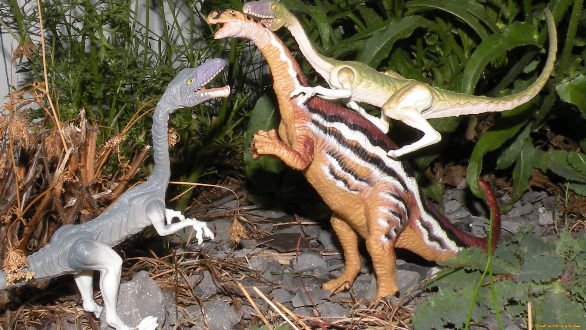 разное, рельефы, статуи, музейные, экспонаты, динозавры