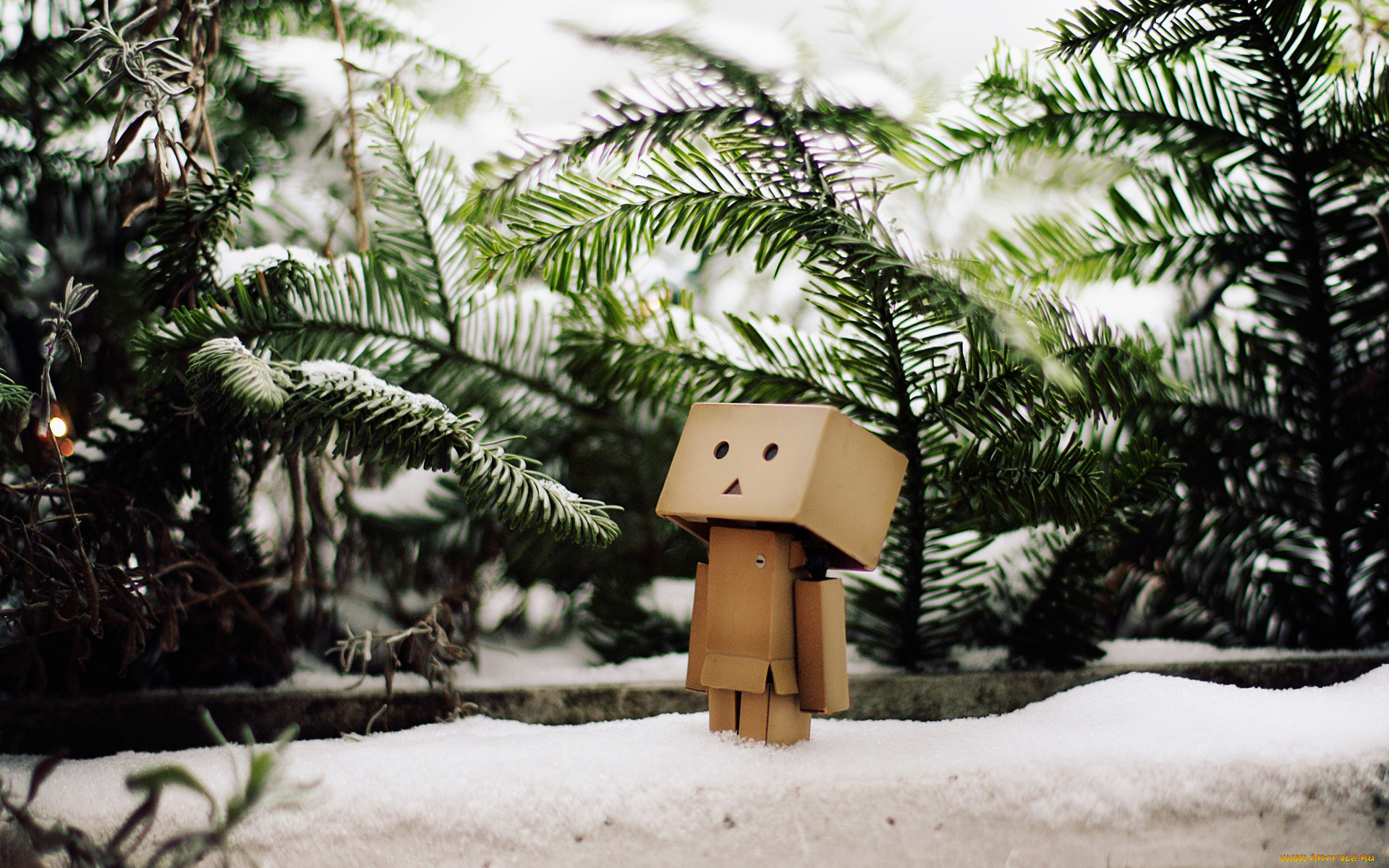 разное, данбо, danboard