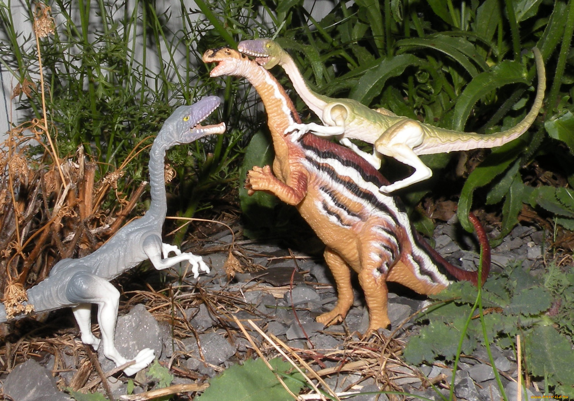 разное, рельефы, статуи, музейные, экспонаты, динозавры