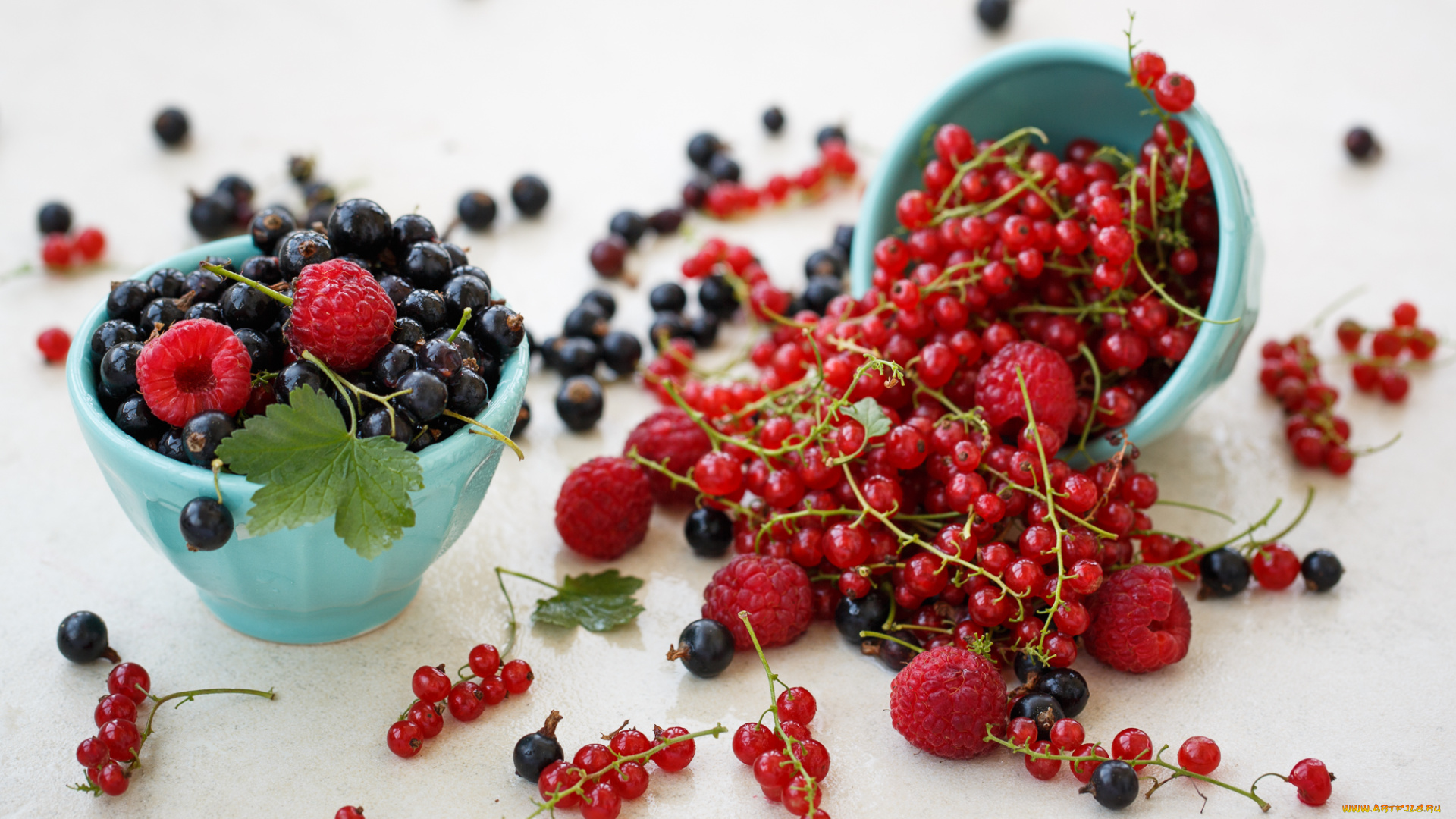 еда, фрукты, ягоды, малина, смородина