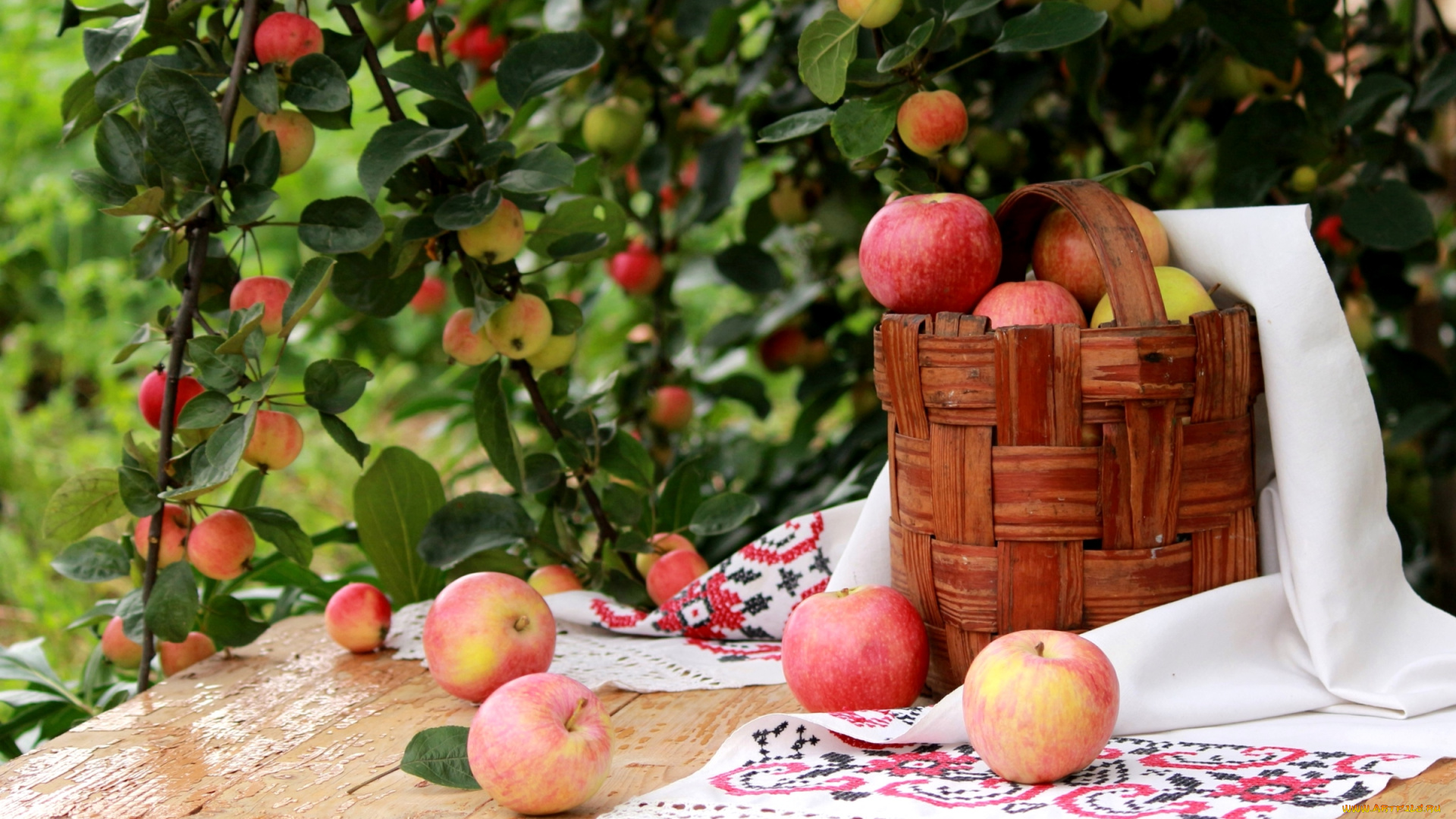 еда, Яблоки, лукошко, дерево