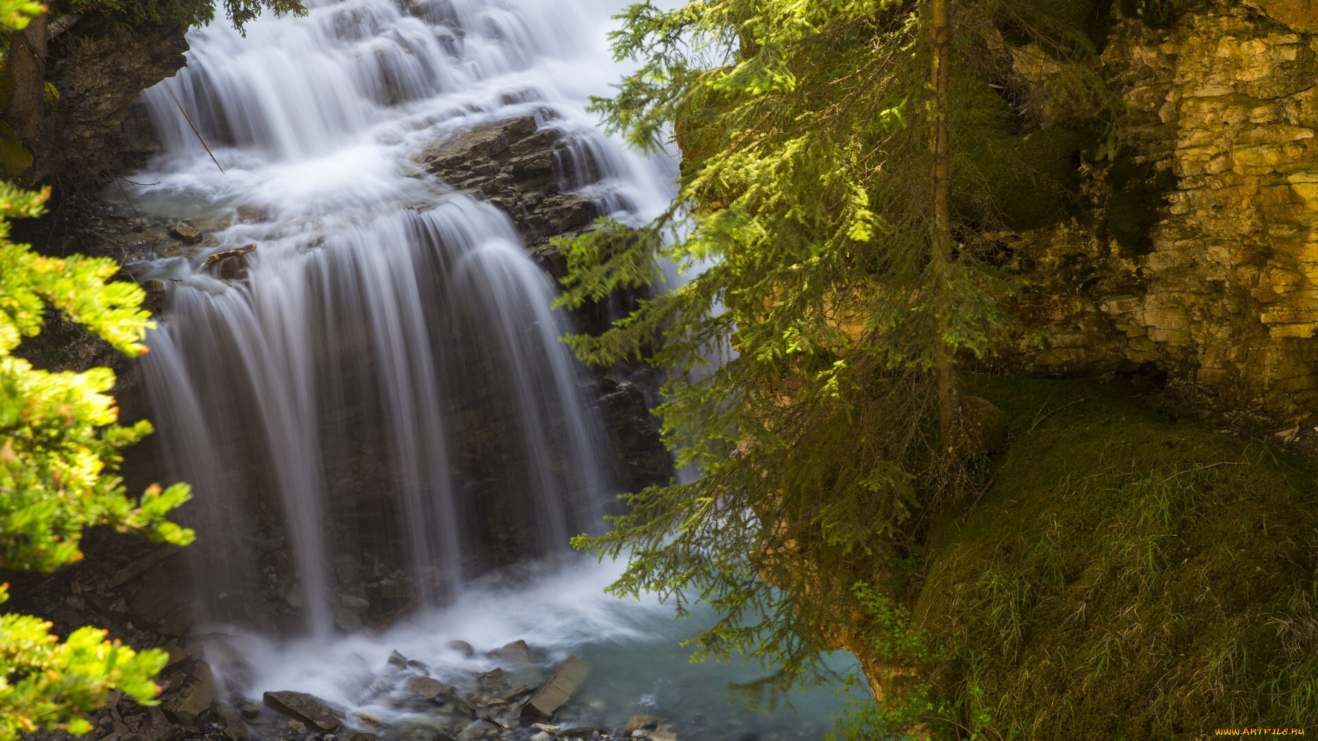 johnston, canyon, banff, national, park, alberta, canada, природа, водопады, банф, альберта, канада, скала, ель, дерево
