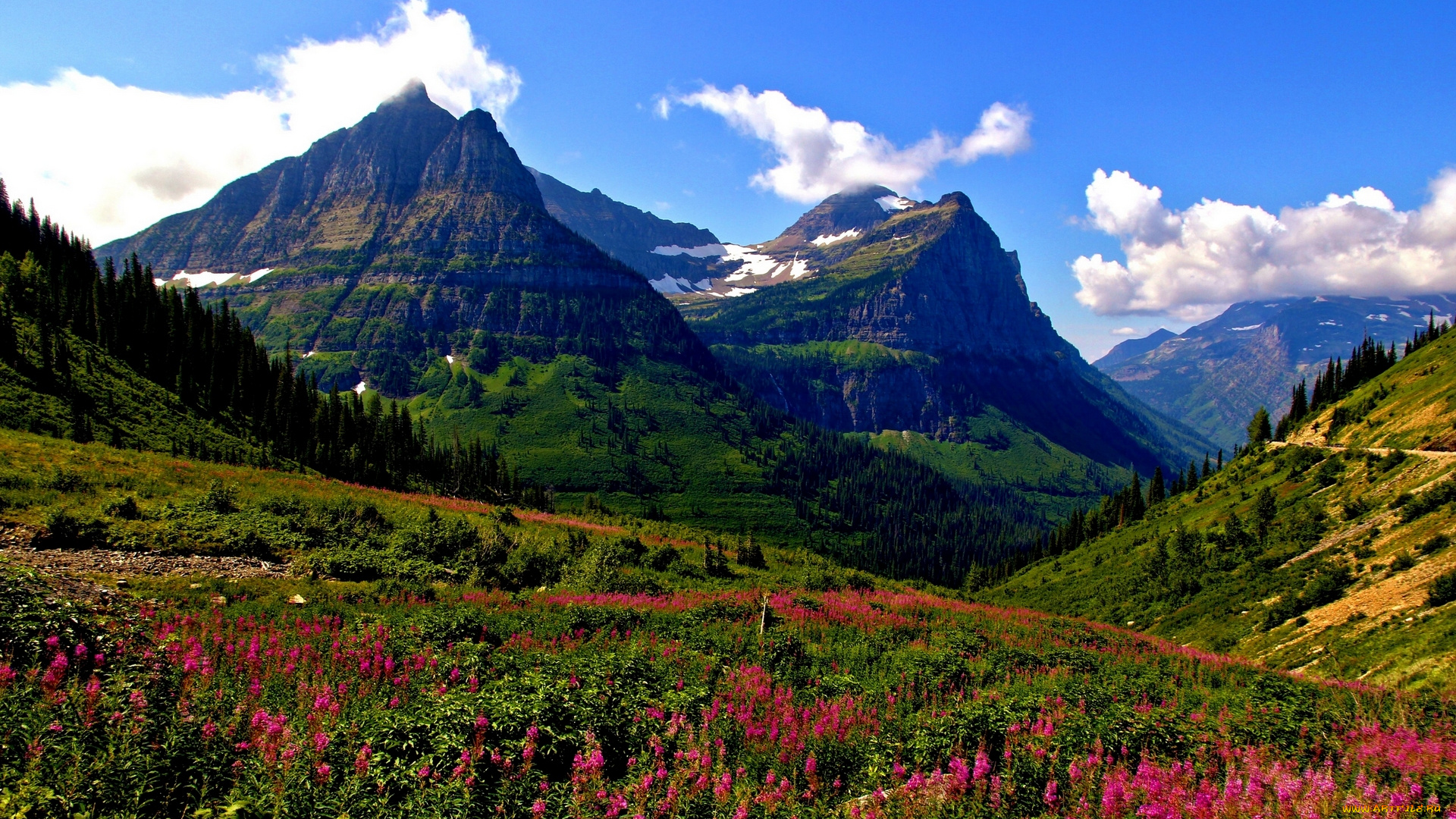mt, oberlin, and, cannon, glacier, national, park, montana, природа, горы, mount, луг, гора, оберлин, глейшер, кэннон