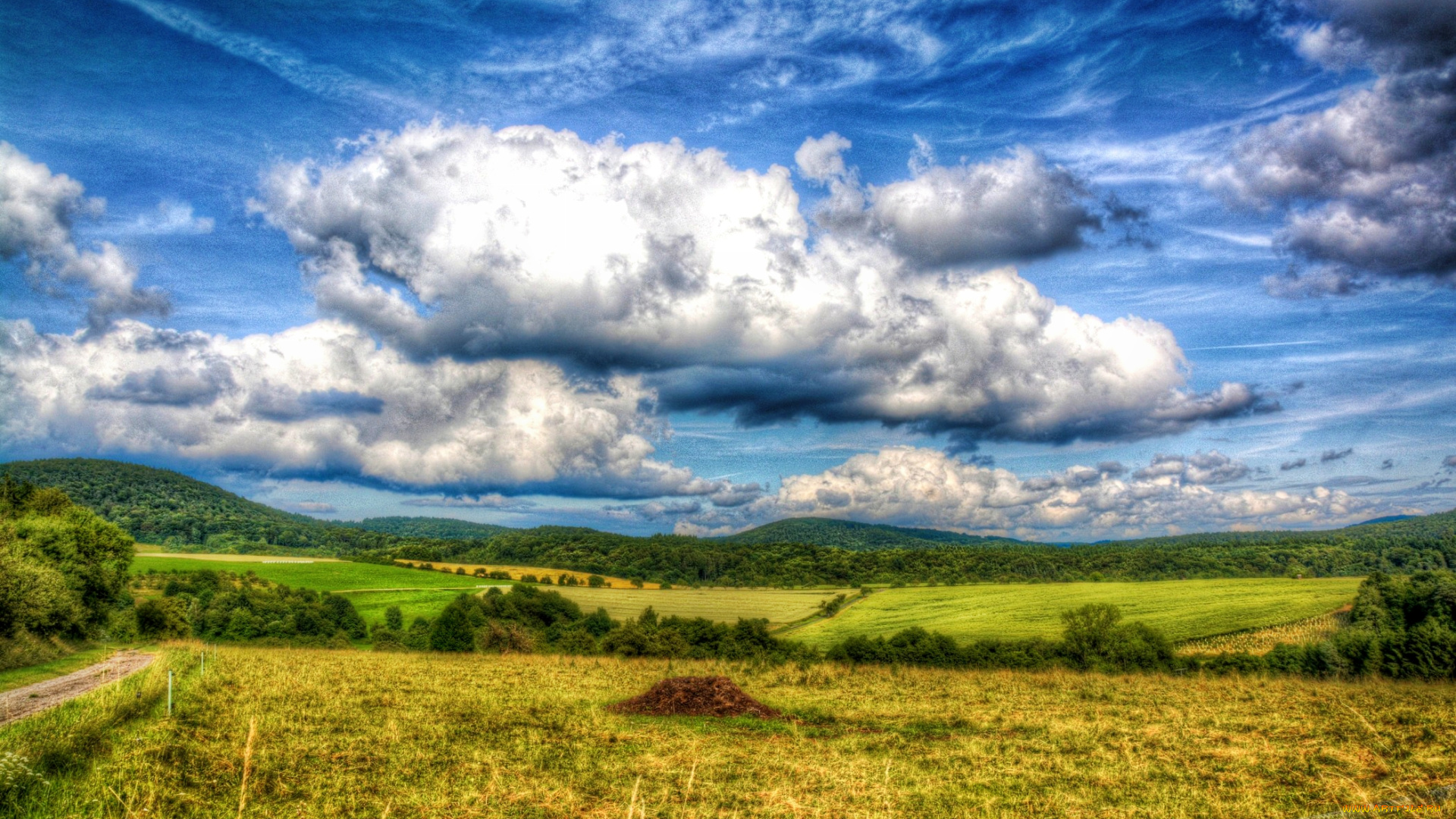 природа, поля, облака, лес, трава, холмы, дорога, поле