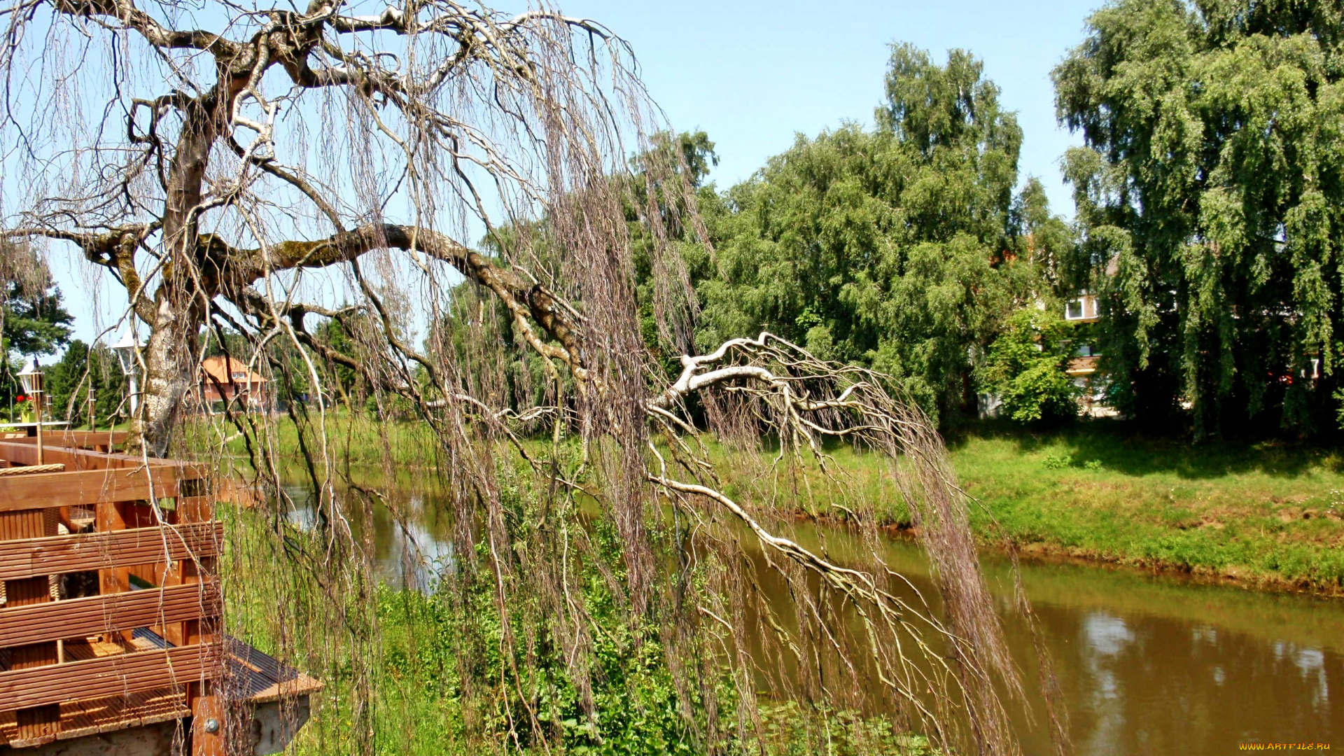 природа, реки, озера, река, трава, деревья