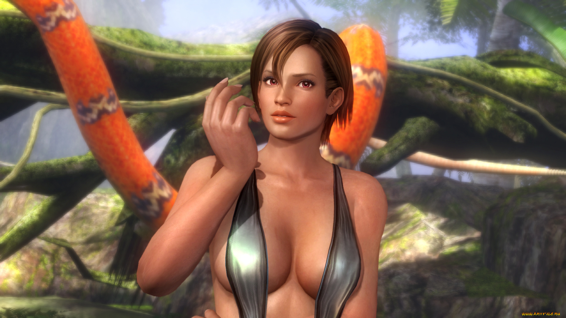 видео, игры, dead, or, alive, девушка