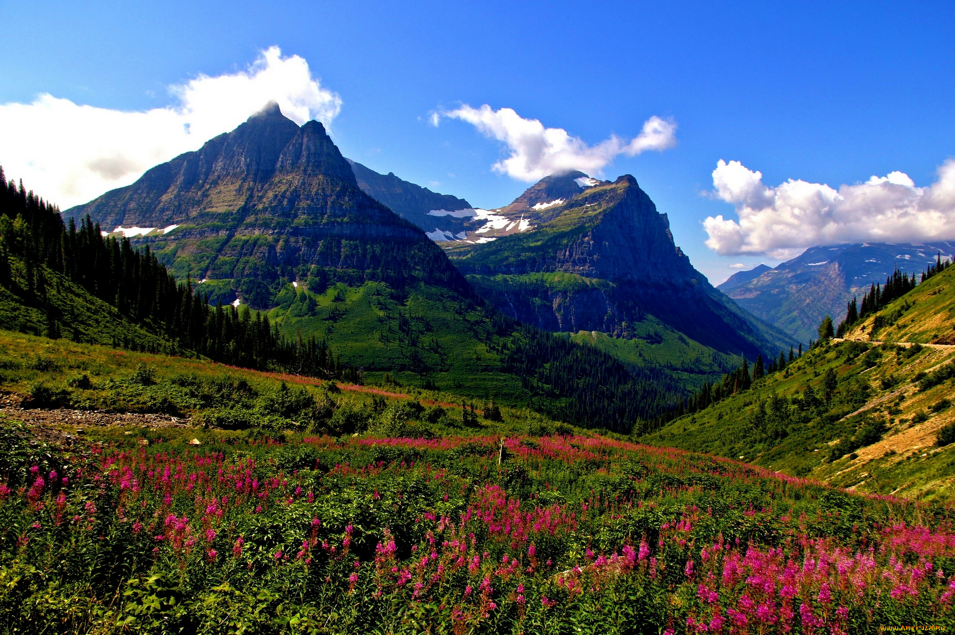 mt, oberlin, and, cannon, glacier, national, park, montana, природа, горы, mount, луг, гора, оберлин, глейшер, кэннон