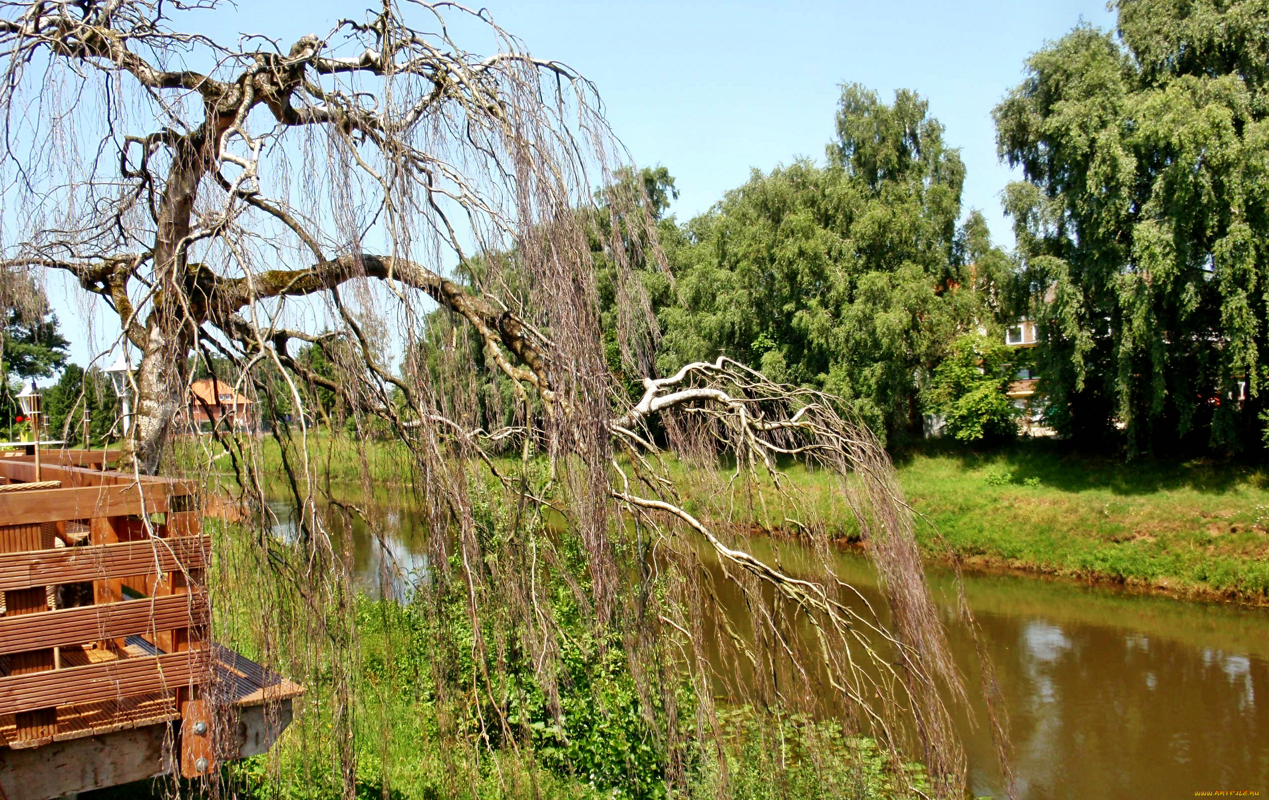 природа, реки, озера, река, трава, деревья