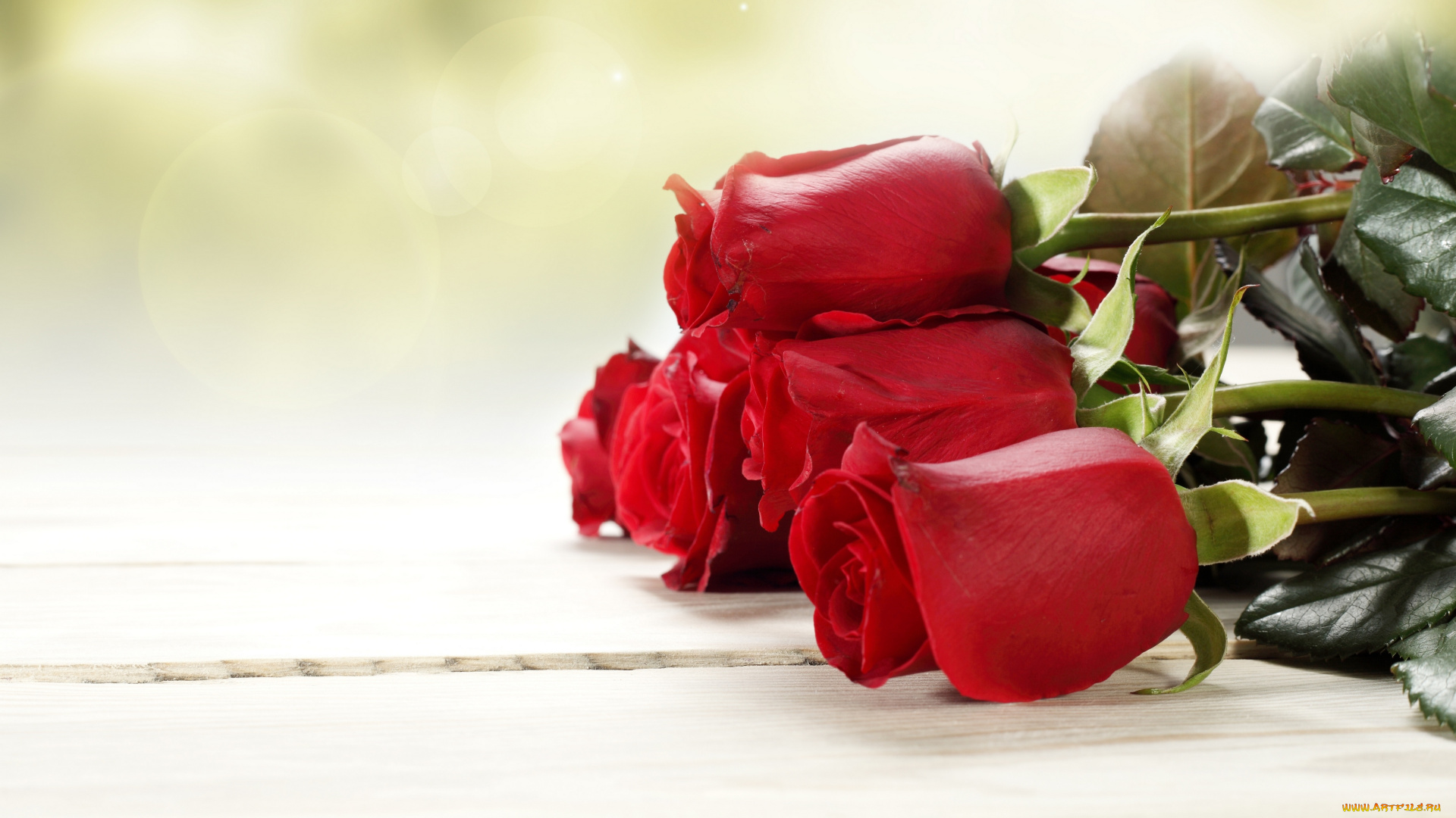 цветы, розы, бутоны, листва, букет