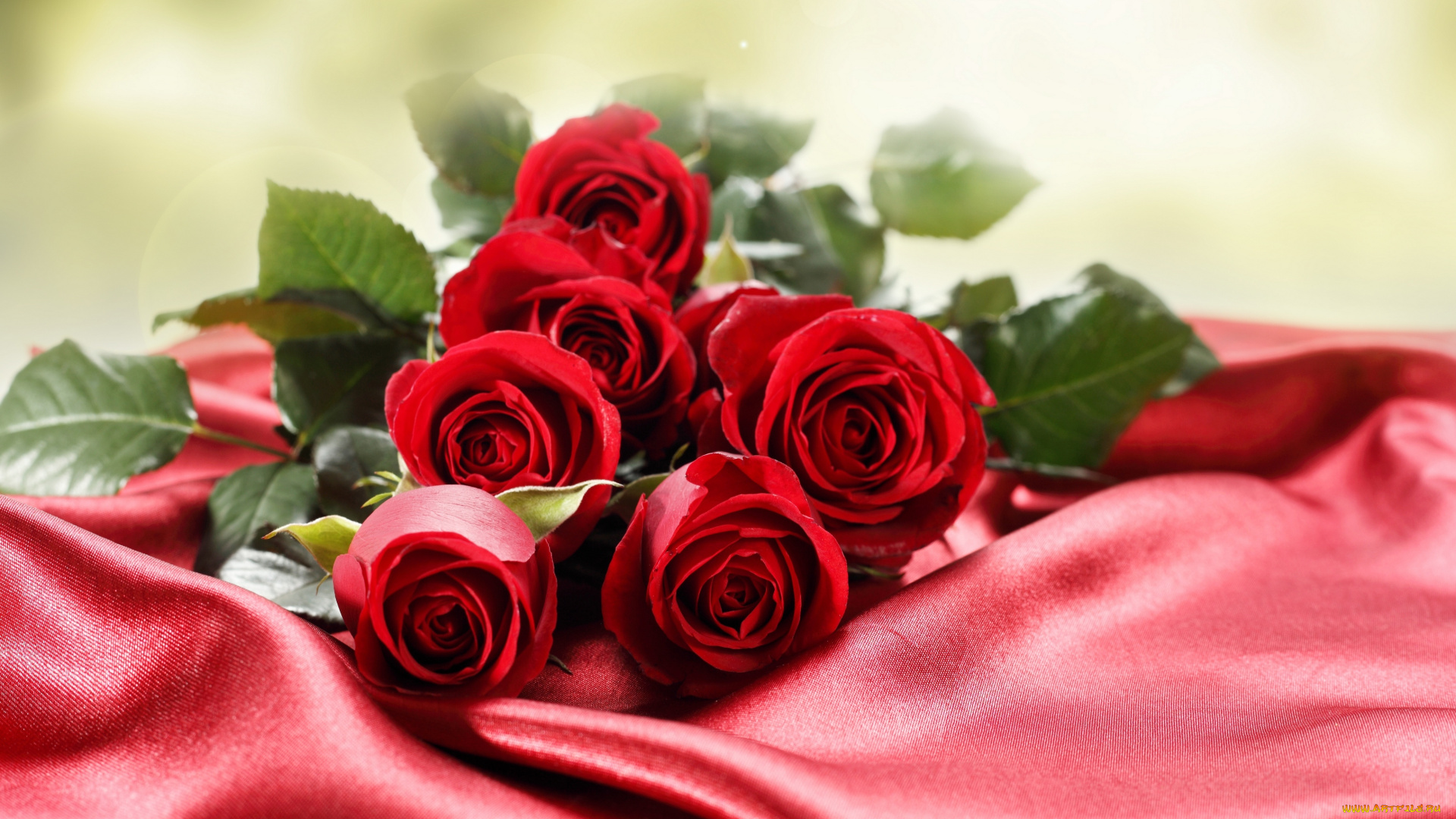 цветы, розы, фон, атлас, бутоны, листва, букет, background, atlas, flowers, roses, flower, buds, foliage, bouquet