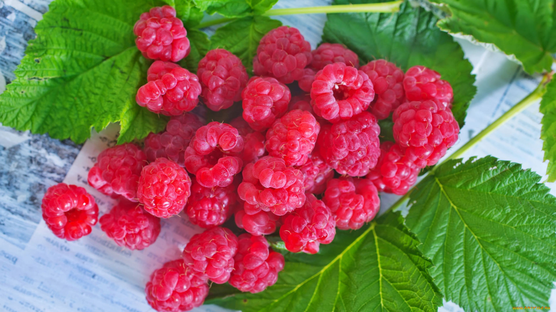 еда, малина, листики, малины, веточка