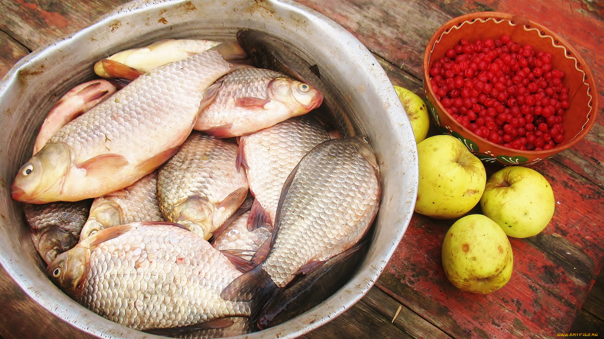 еда, рыба, , морепродукты, , суши, , роллы