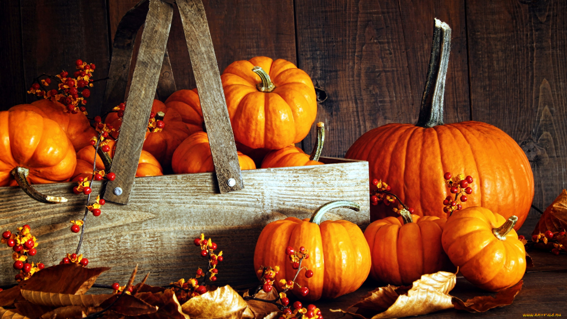 еда, тыква, плоды, ягоды, листья, корзина