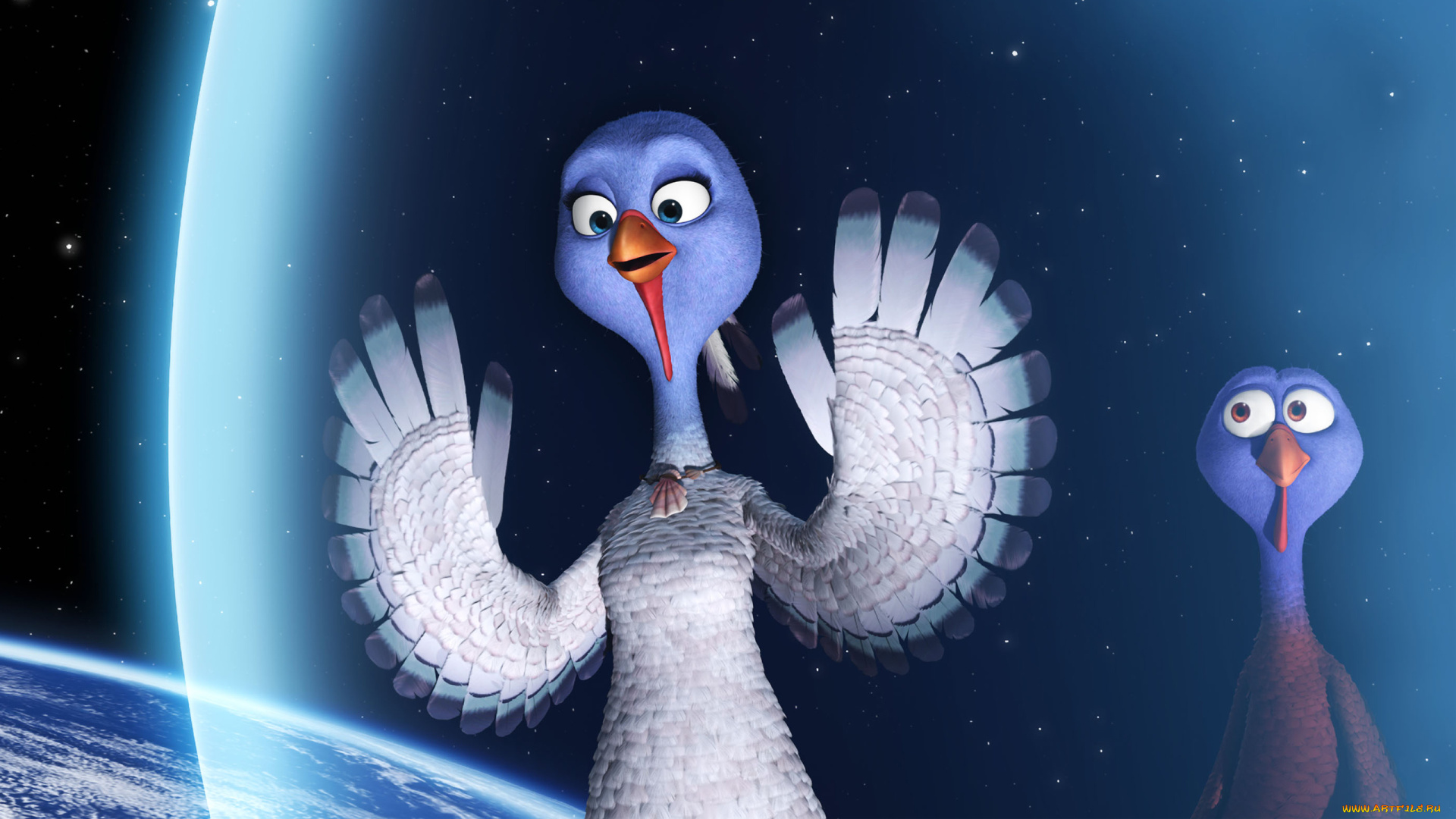 free, birds, мультфильмы, индюки