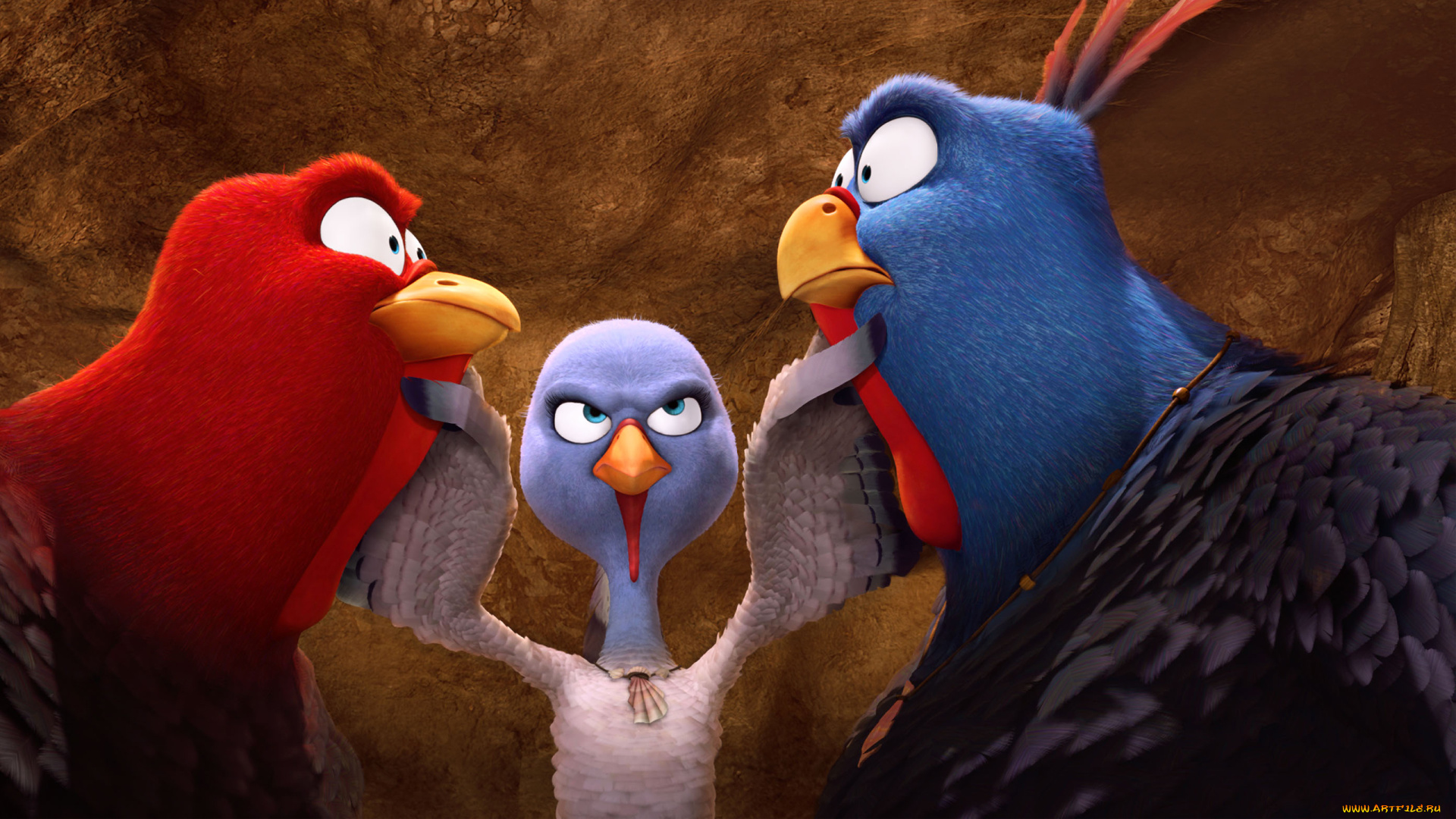 free, birds, мультфильмы, индюки