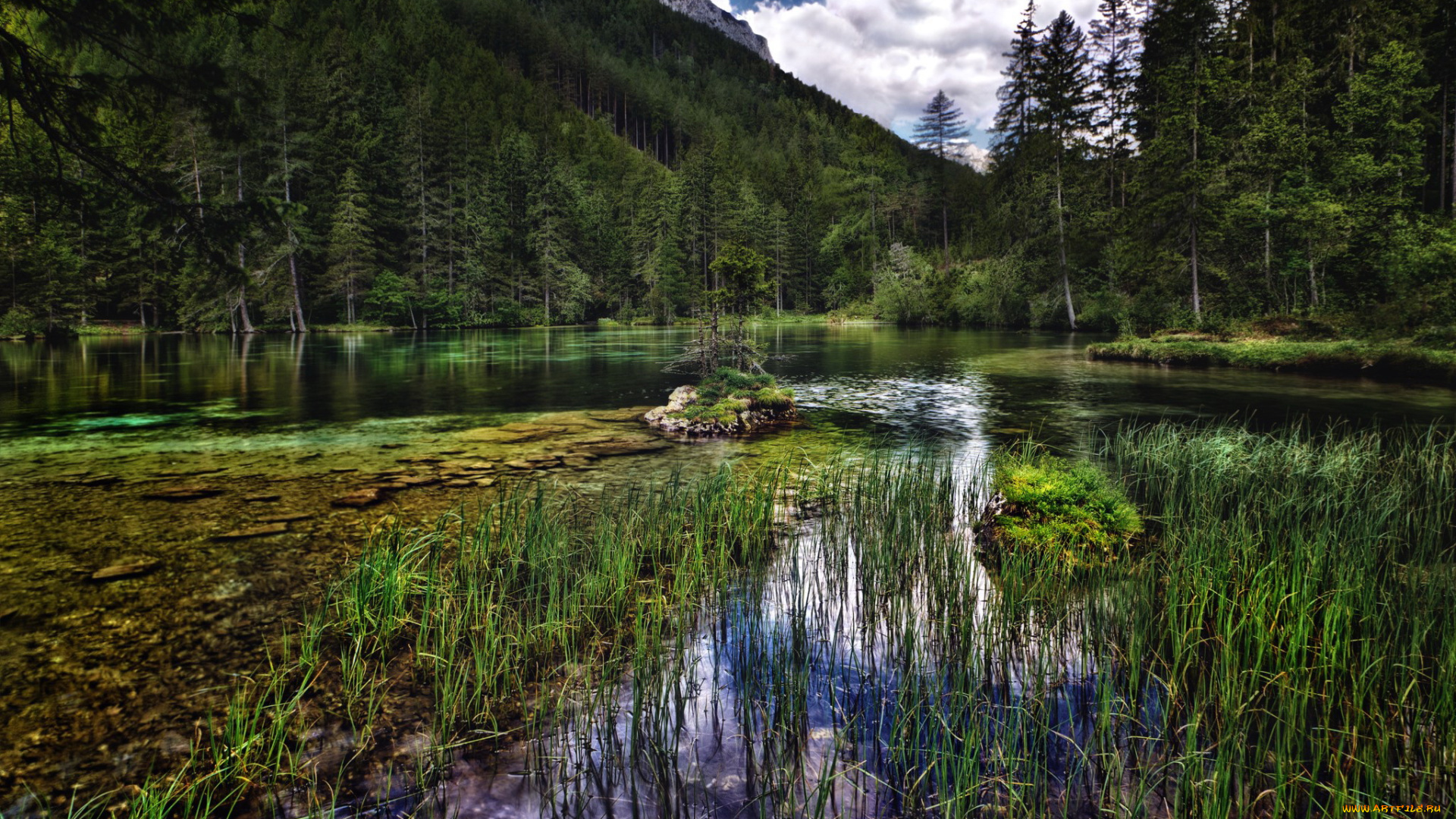 грюнер, австрия, природа, реки, озера, австрия, грюнер, озеро, лес, горы