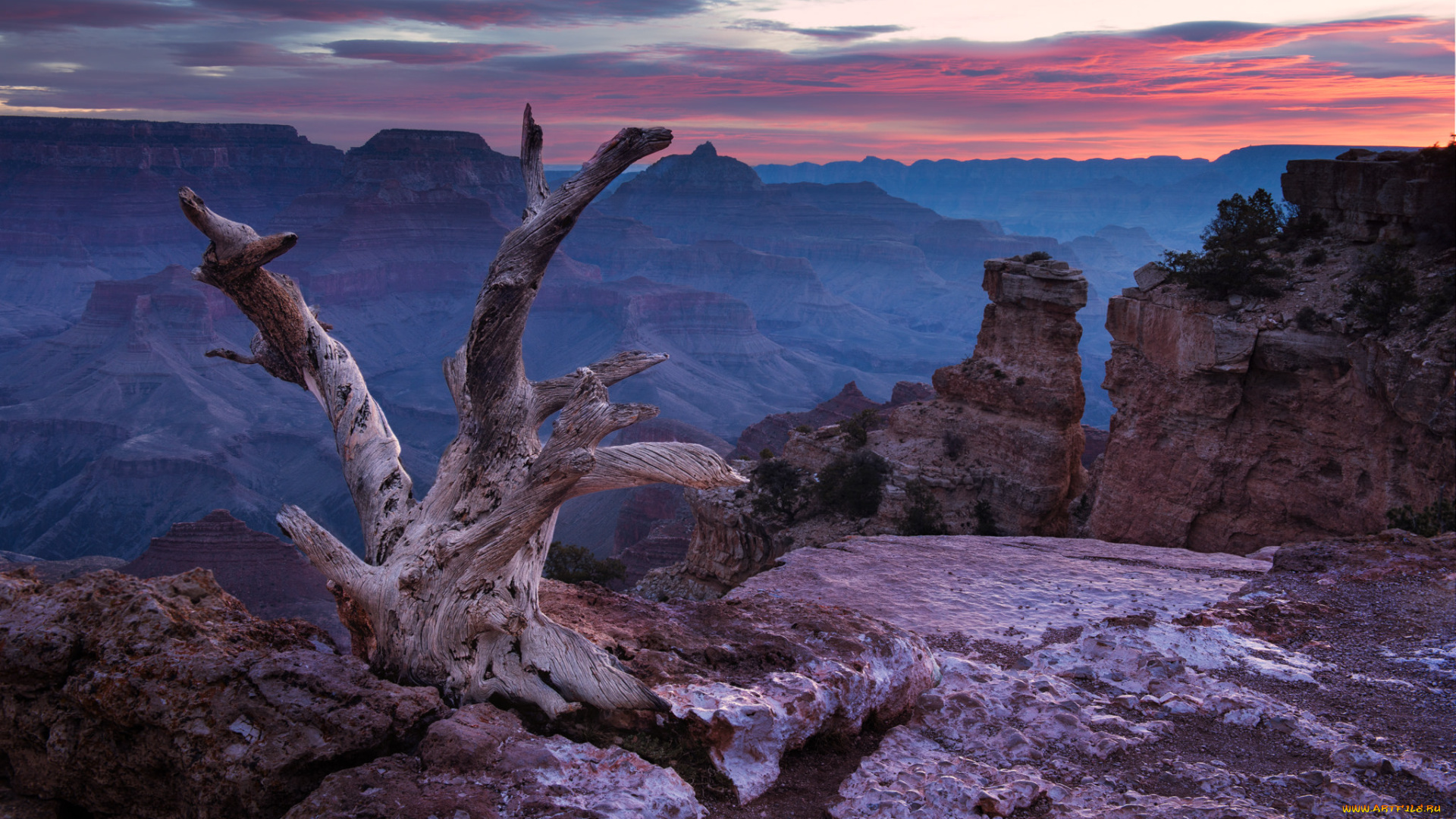 природа, горы, камни, коряга, небо, облака, скалы, каньон, сша
