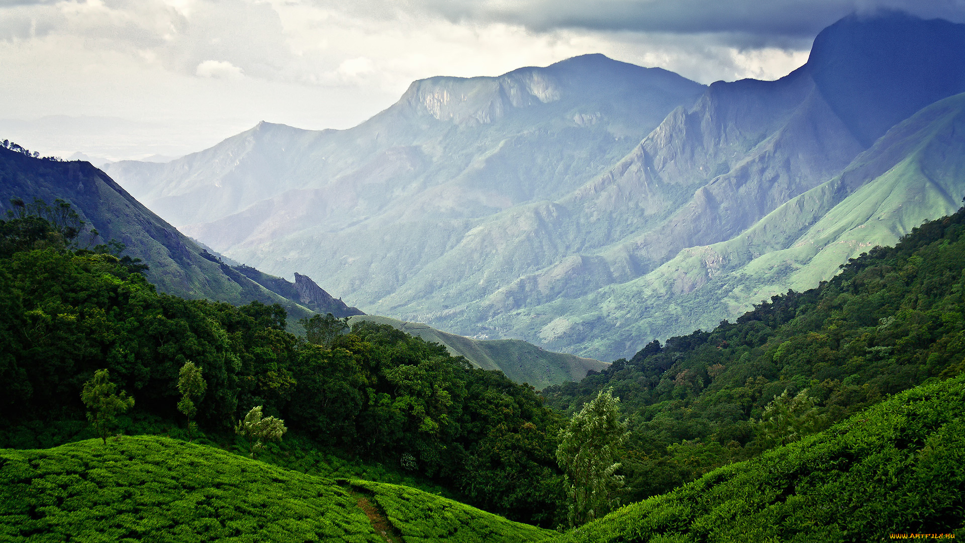 природа, горы, небо, чайные, плантации, индия, муннар