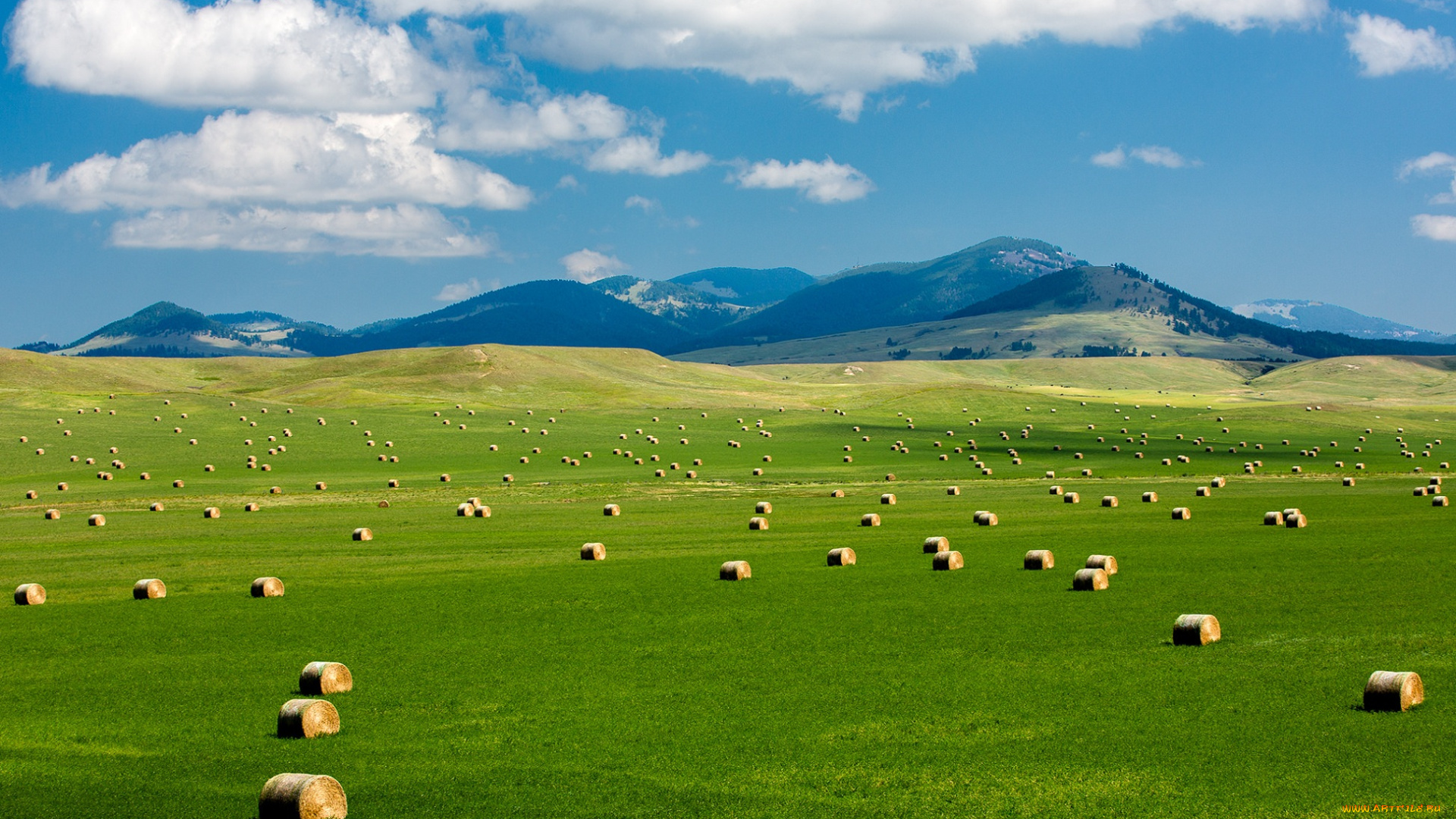 природа, поля, зелень, круглые, тюки, облака, сено, поле, небо