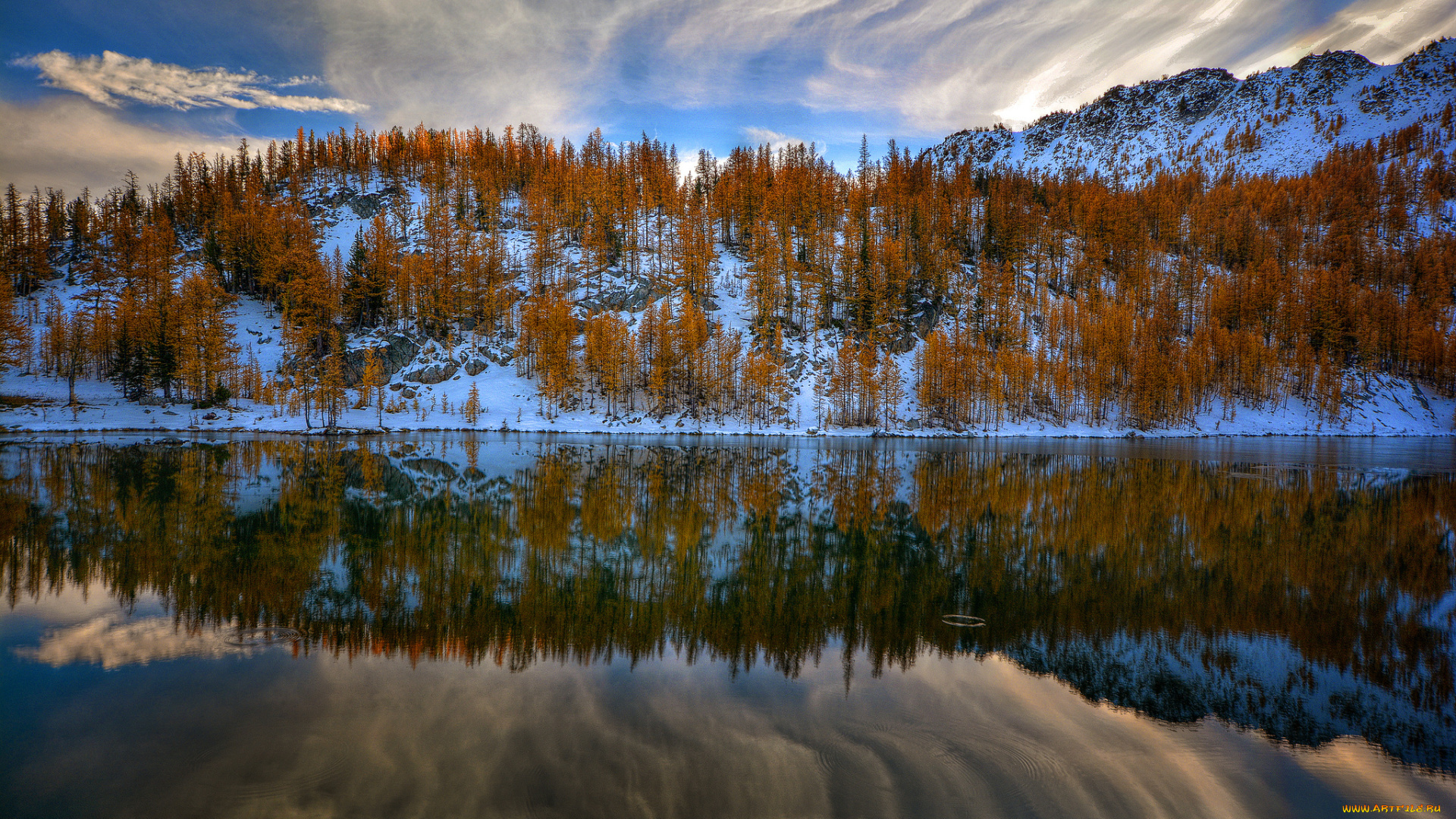 природа, реки, озера, деревья, река, вода, озеро, отражения, облака, небо