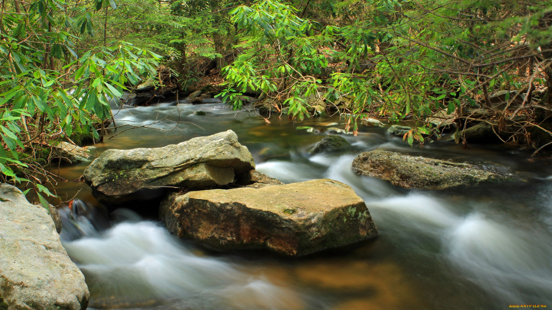 природа, реки, озера, валуны, река, лес