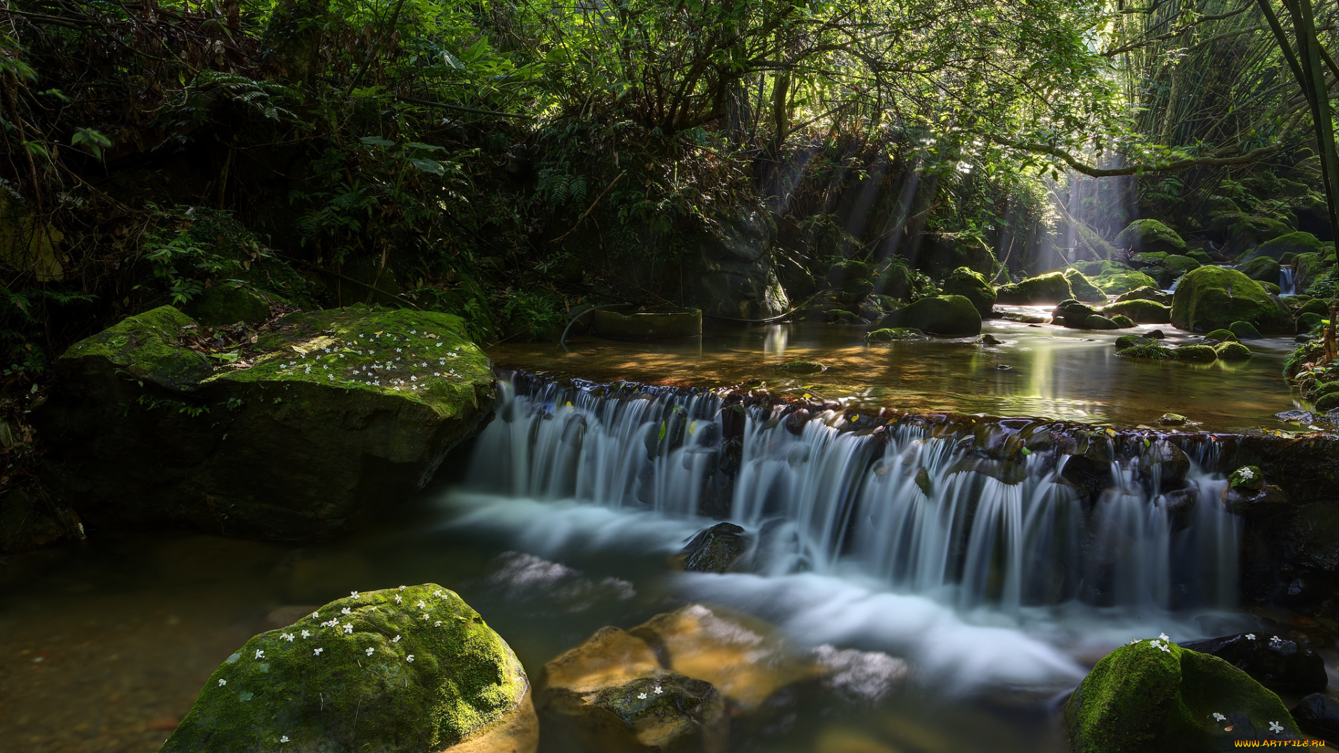 природа, водопады, лес, река, камни