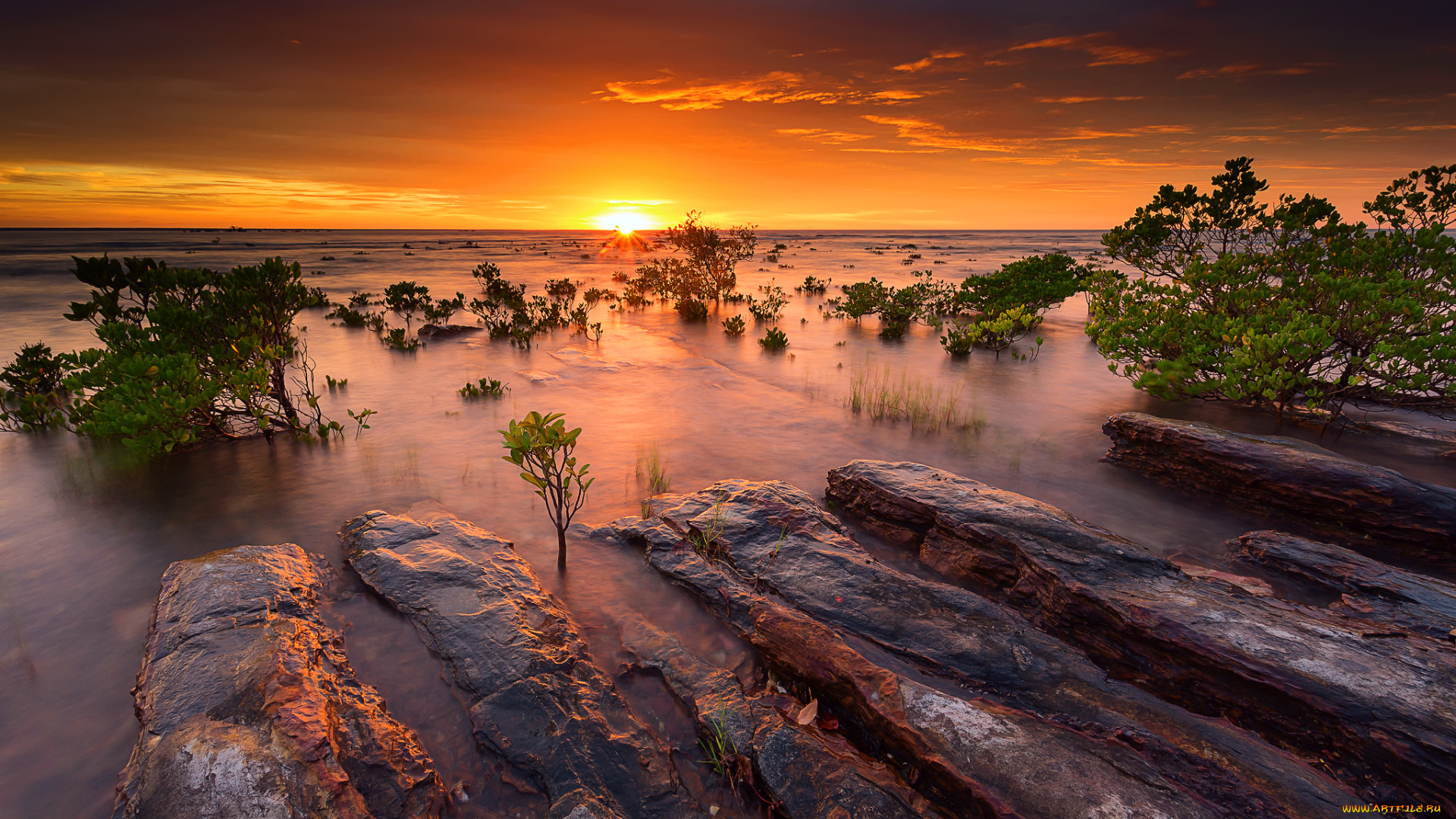 природа, восходы, закаты, камни, вода, солнце, небо, океан, море, мангровые, кусты, закат, вечер, австралия