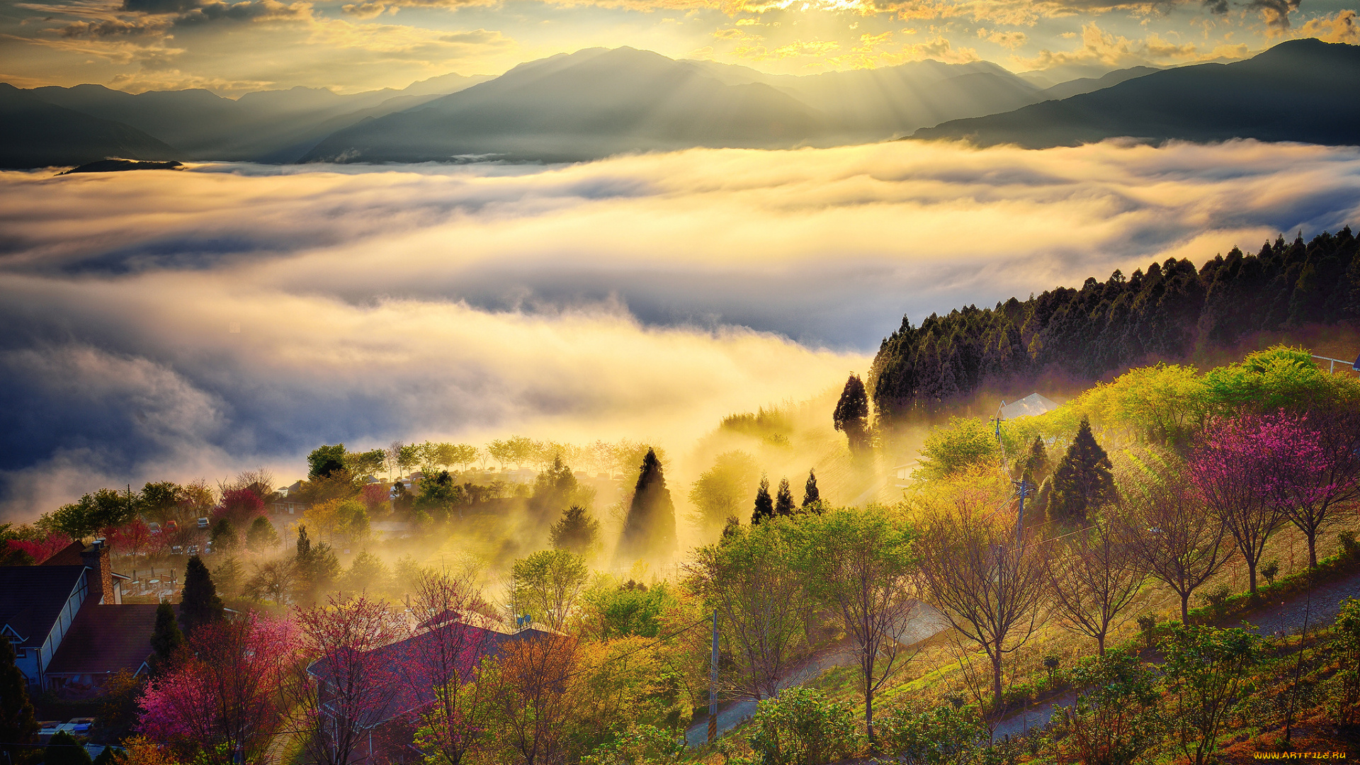 природа, восходы, закаты, лучи, солнце, небо, туман, тайвань, холмы, облака, свет, горы