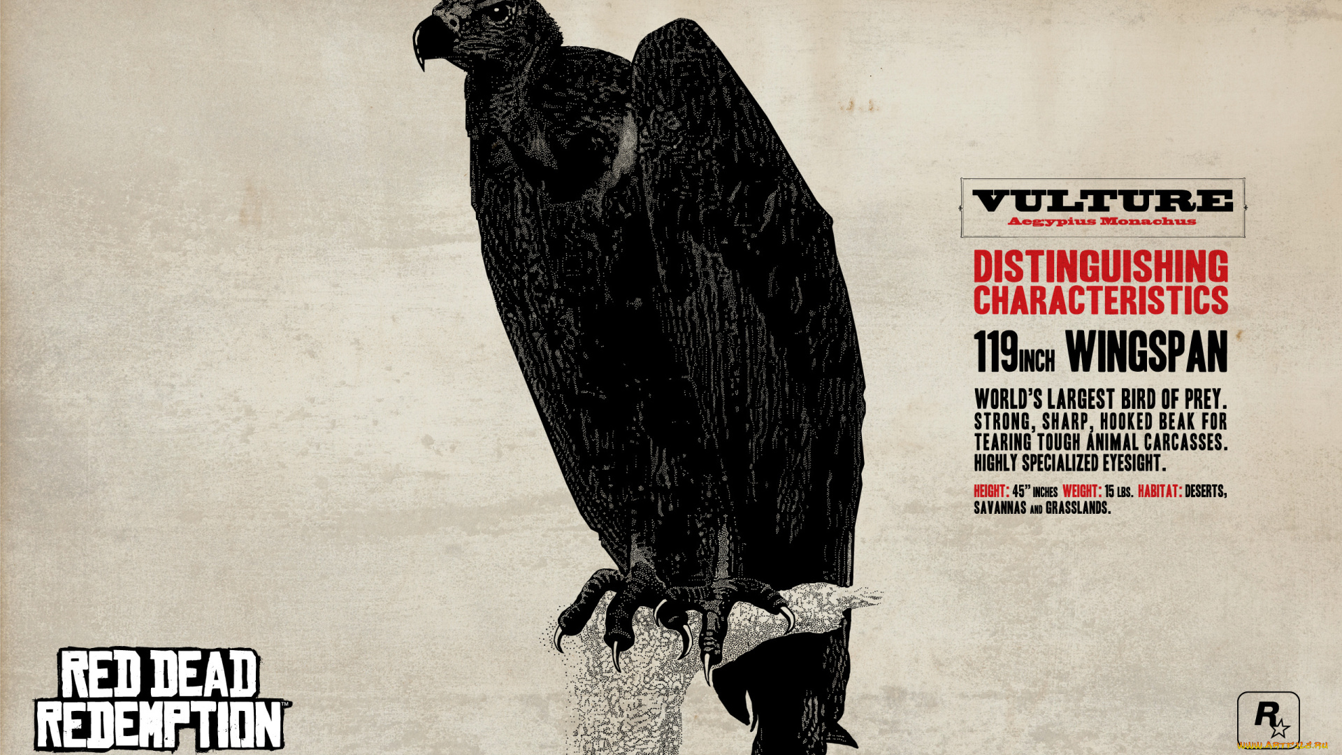 видео, игры, red, dead, redemption, экшен, адвенчура, redemption, dead, red