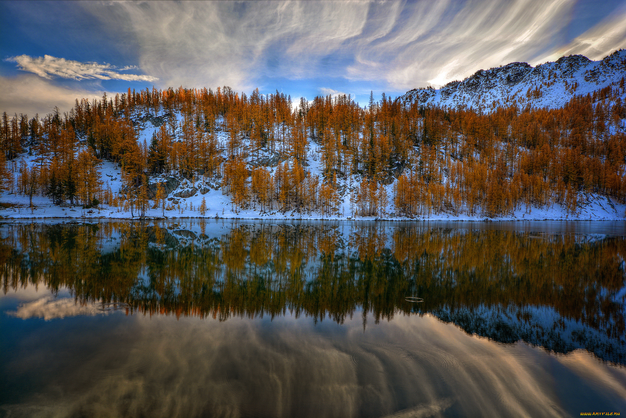 природа, реки, озера, деревья, река, вода, озеро, отражения, облака, небо