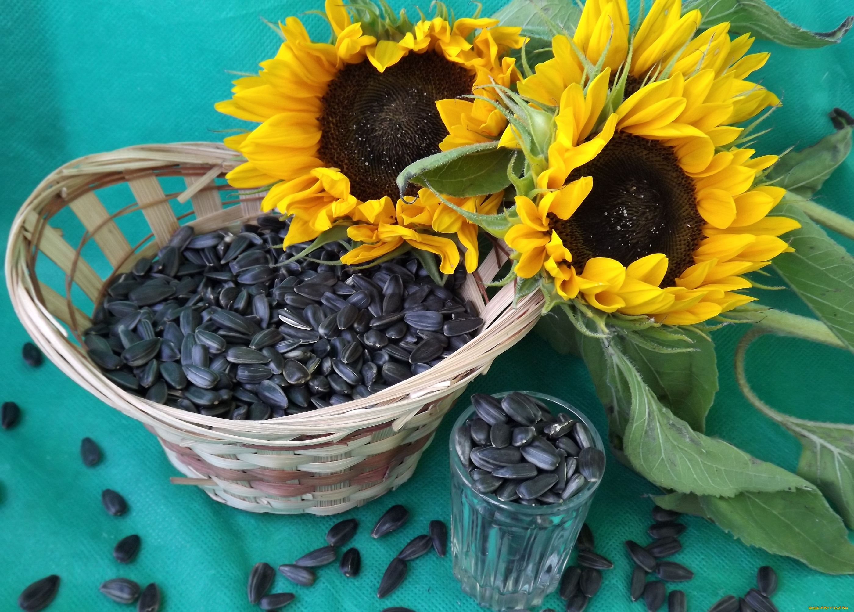 еда, крупы, , зерно, , специи, , семечки, подсолнухи, семечки