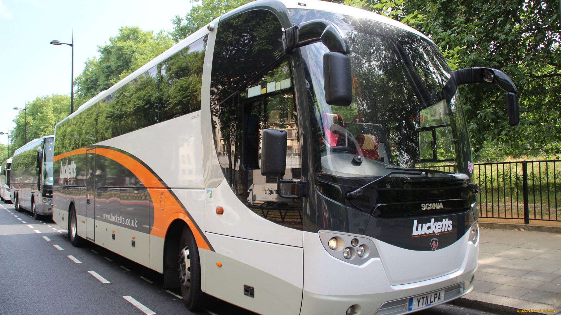 автомобили, автобусы, транспорт, пассажирский