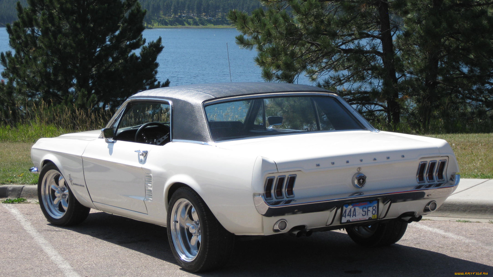 автомобили, mustang