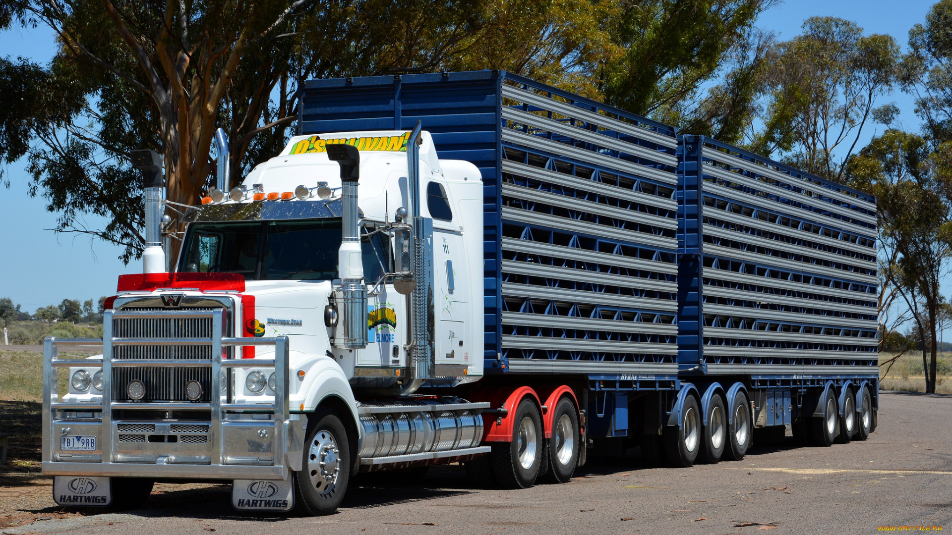 автомобили, western, star, тягач, грузовик, тяжелый, седельный