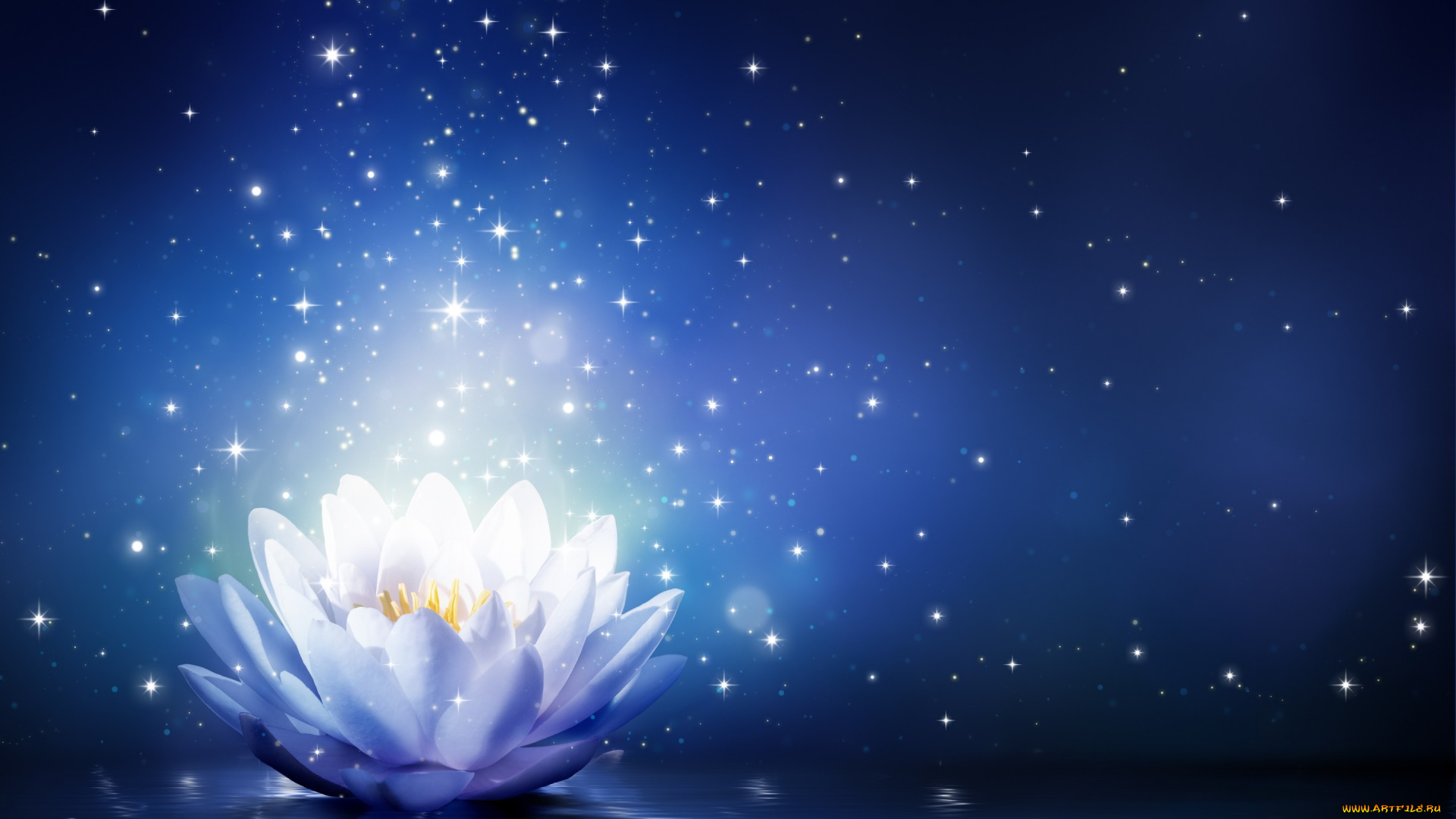 разное, компьютерный, дизайн, цветок, water, lily, лотос, sparkle, bloom, flower, сияние, вода