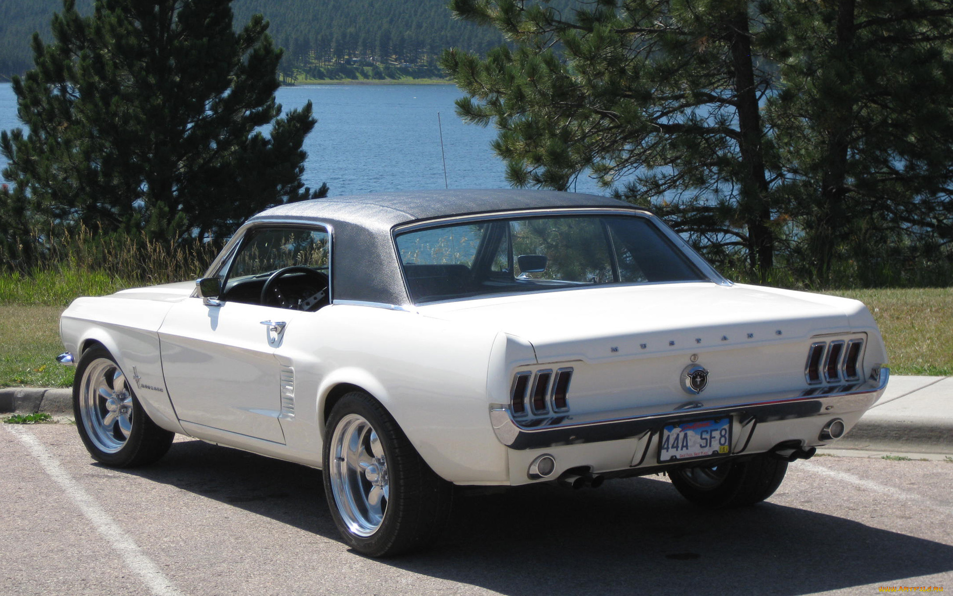 автомобили, mustang