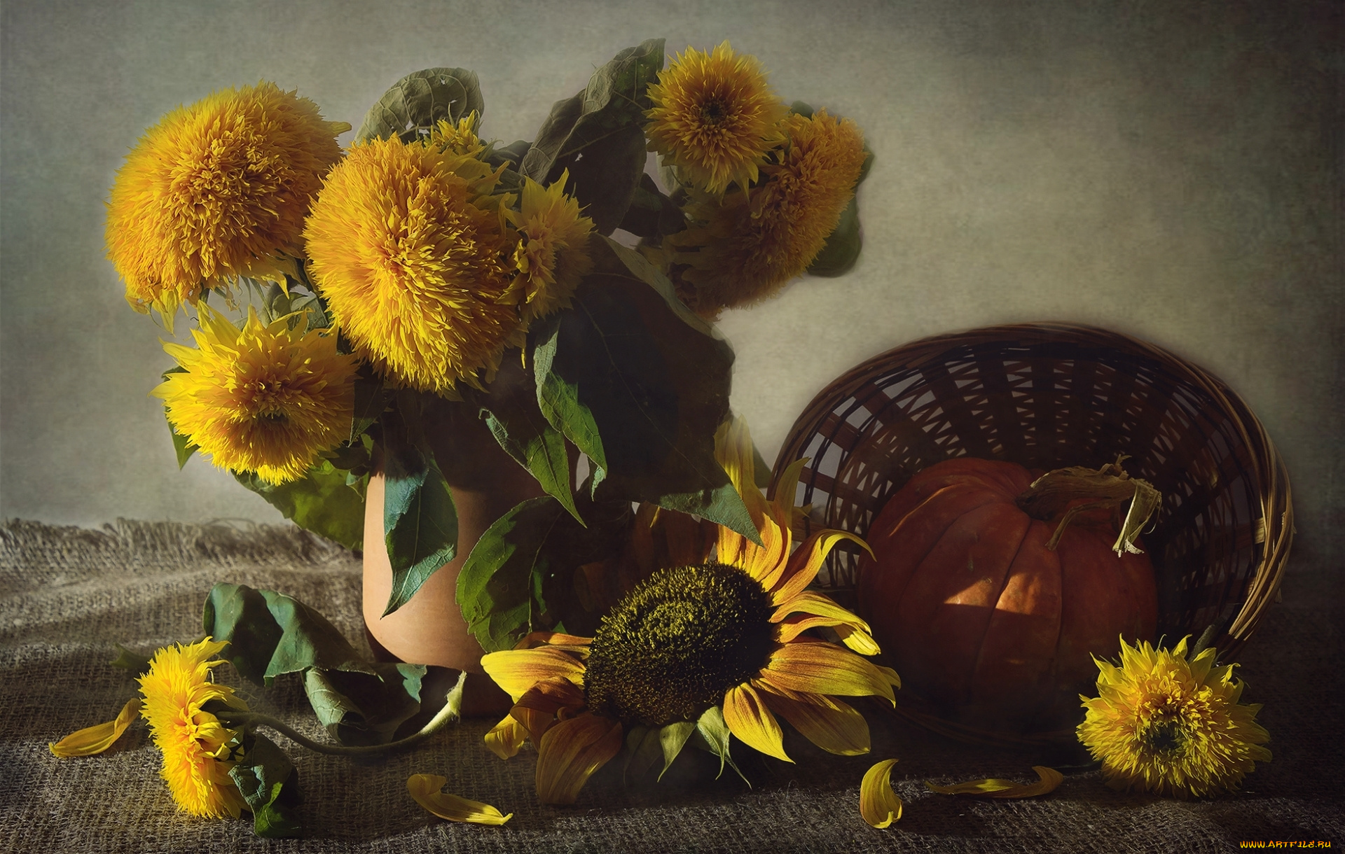 цветы, подсолнухи, желтый, текстура, тыква