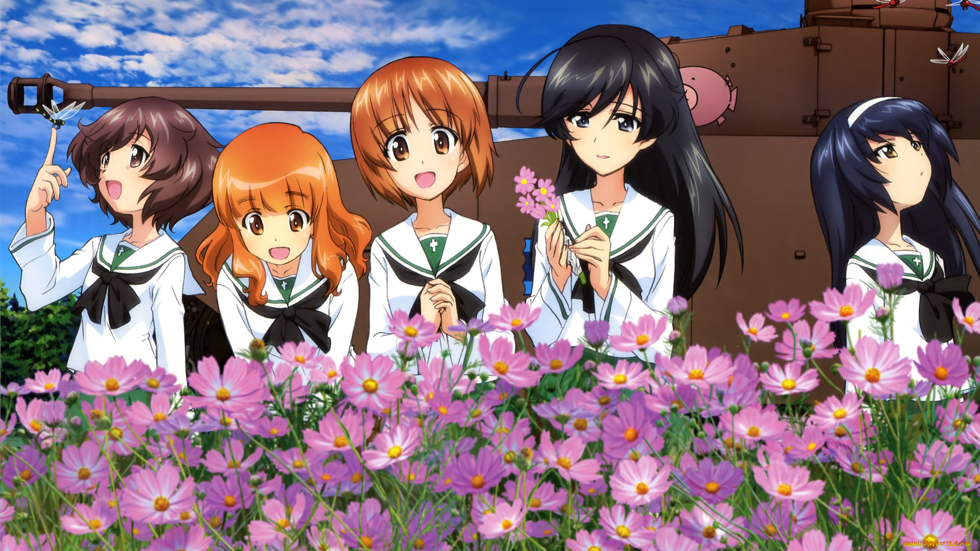 аниме, girls, und, panzer, девушки, взгляд, фон