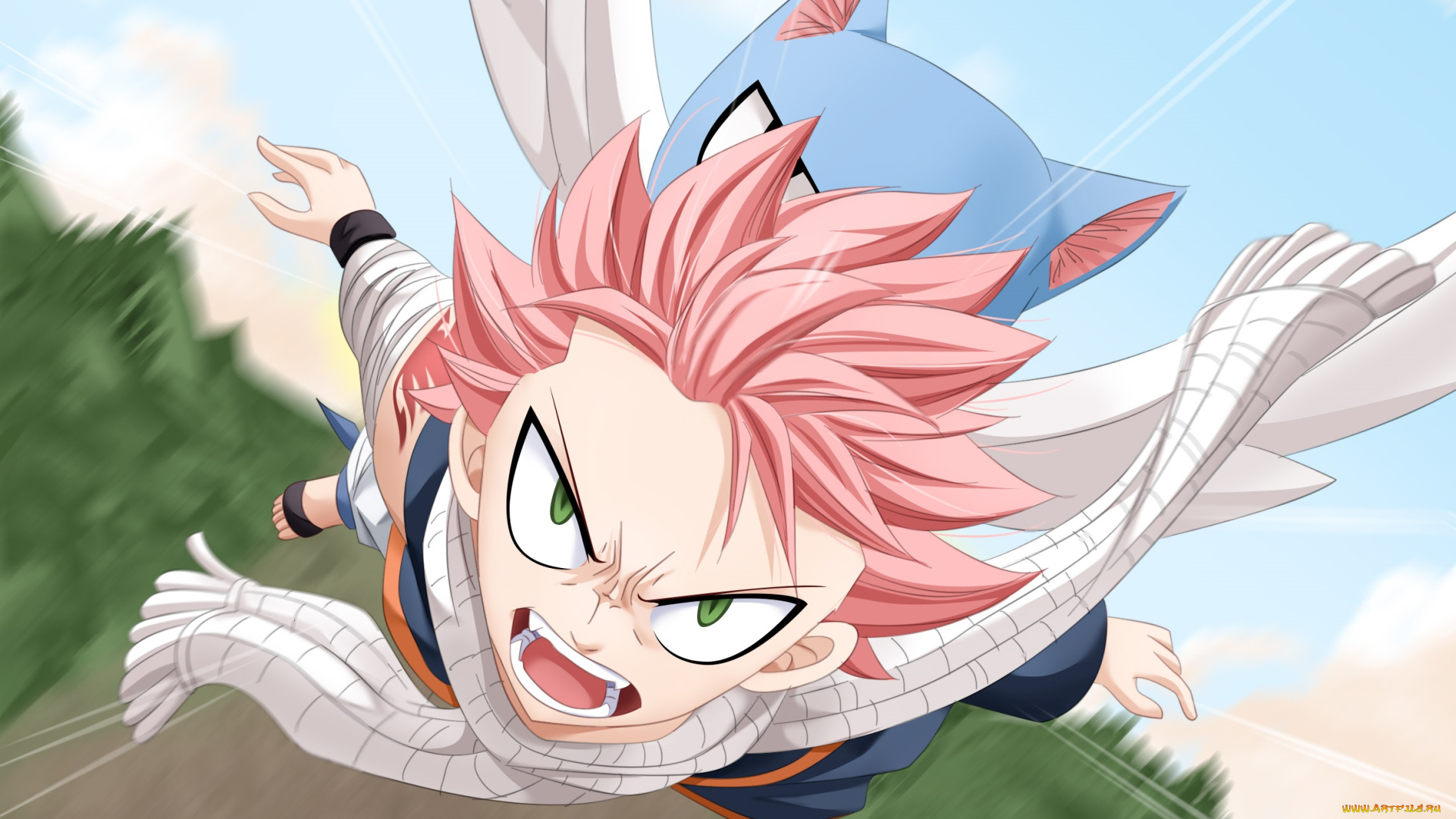 аниме, fairy, tail, хвост, феи