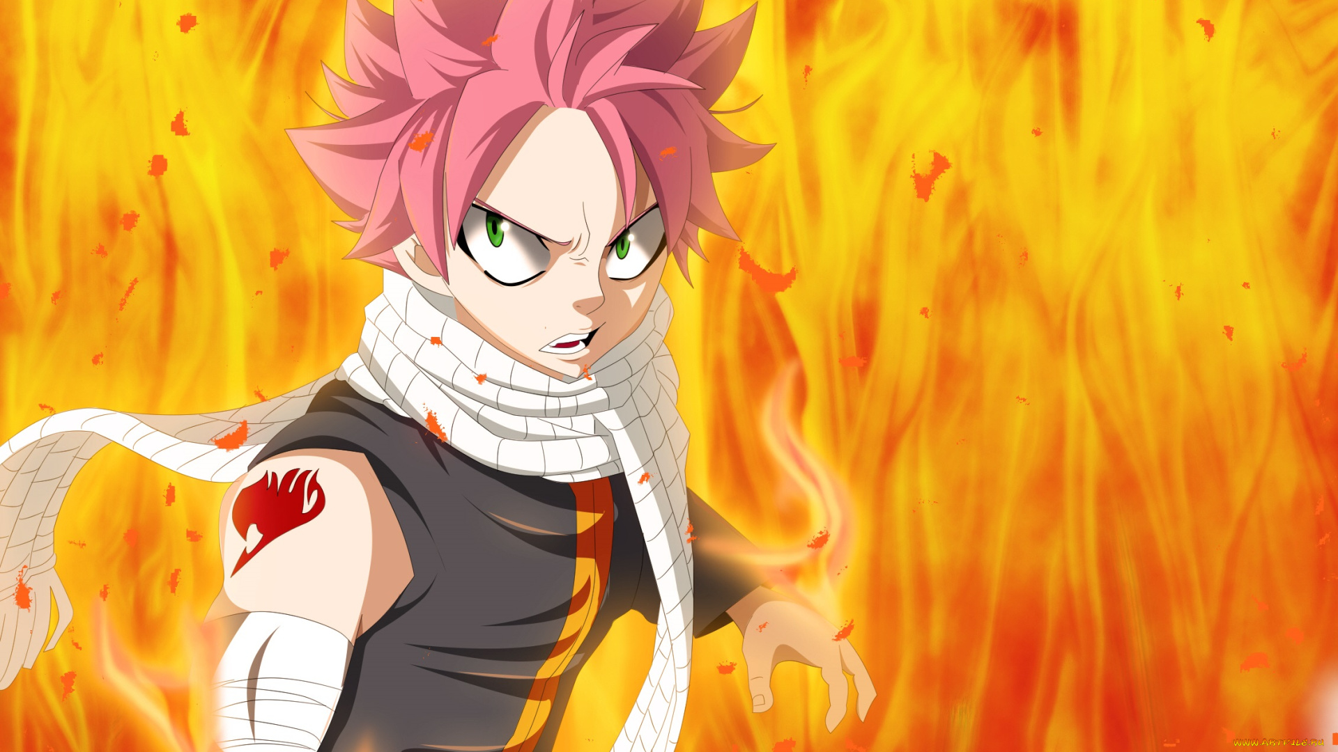 аниме, fairy, tail, хвост, феи