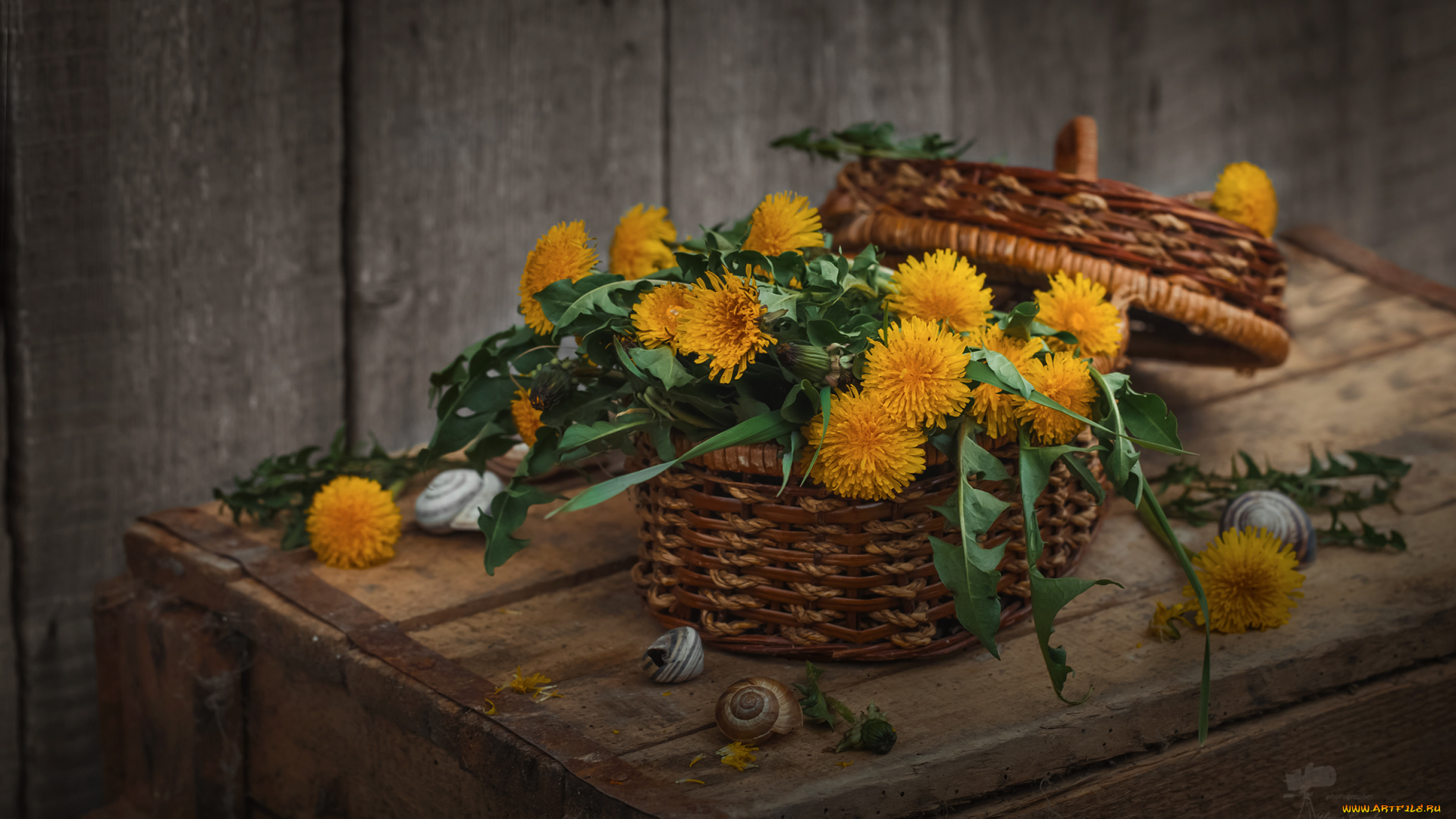 цветы, одуванчики, желтые, корзина, букет
