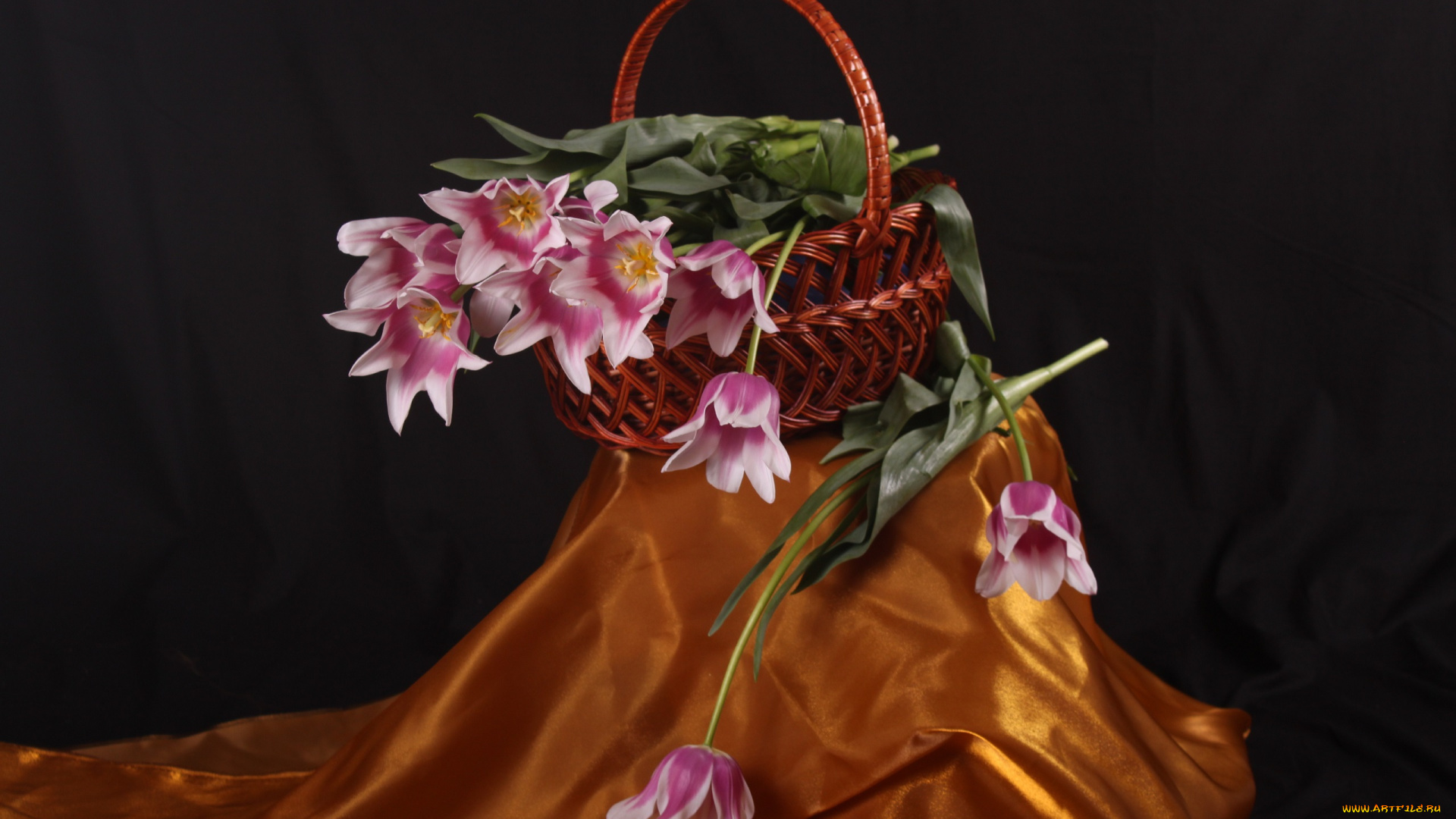 цветы, тюльпаны, весна, золотое, корзина, красота, ночь, чёрное