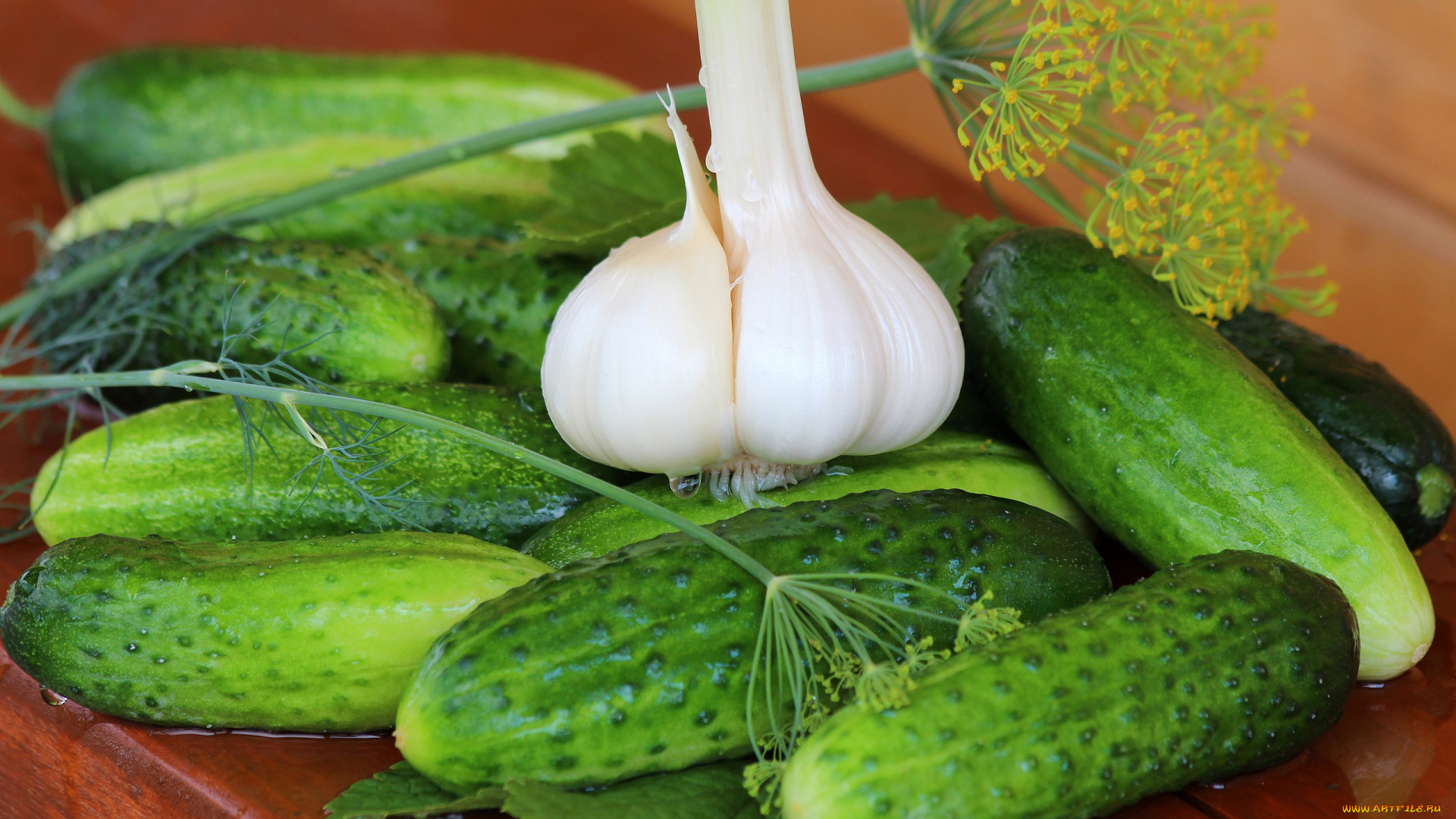 еда, огурцы, лето, дача, вкусно, чеснок, урожай