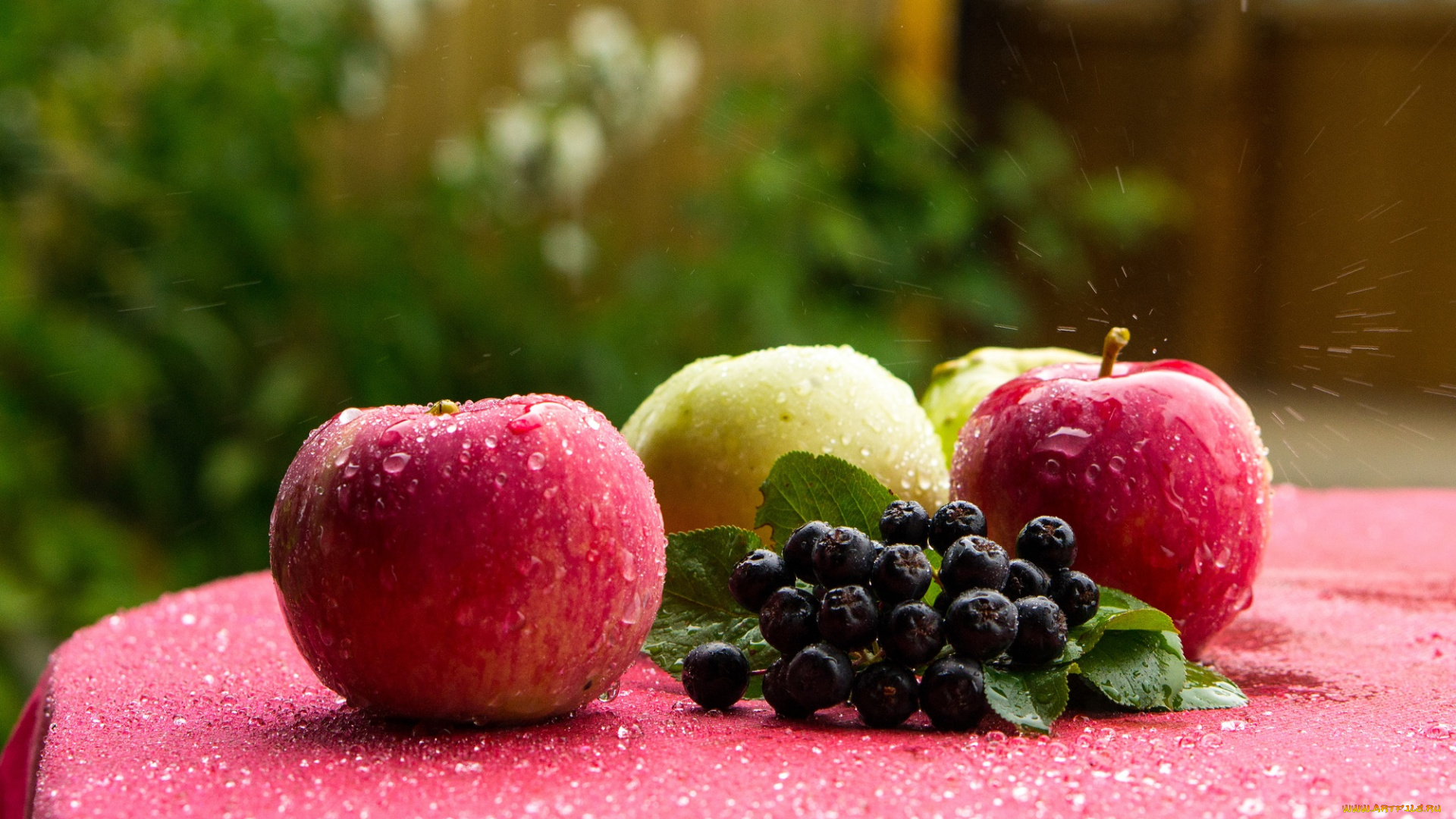 еда, Яблоки, дождь, капли, конкурс, лето, яблоки