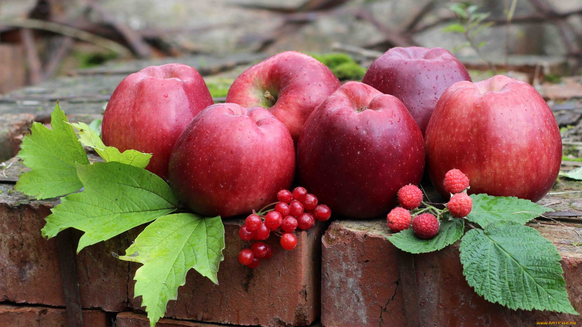 еда, Яблоки, яблоки, красные, ягода, малина, листья