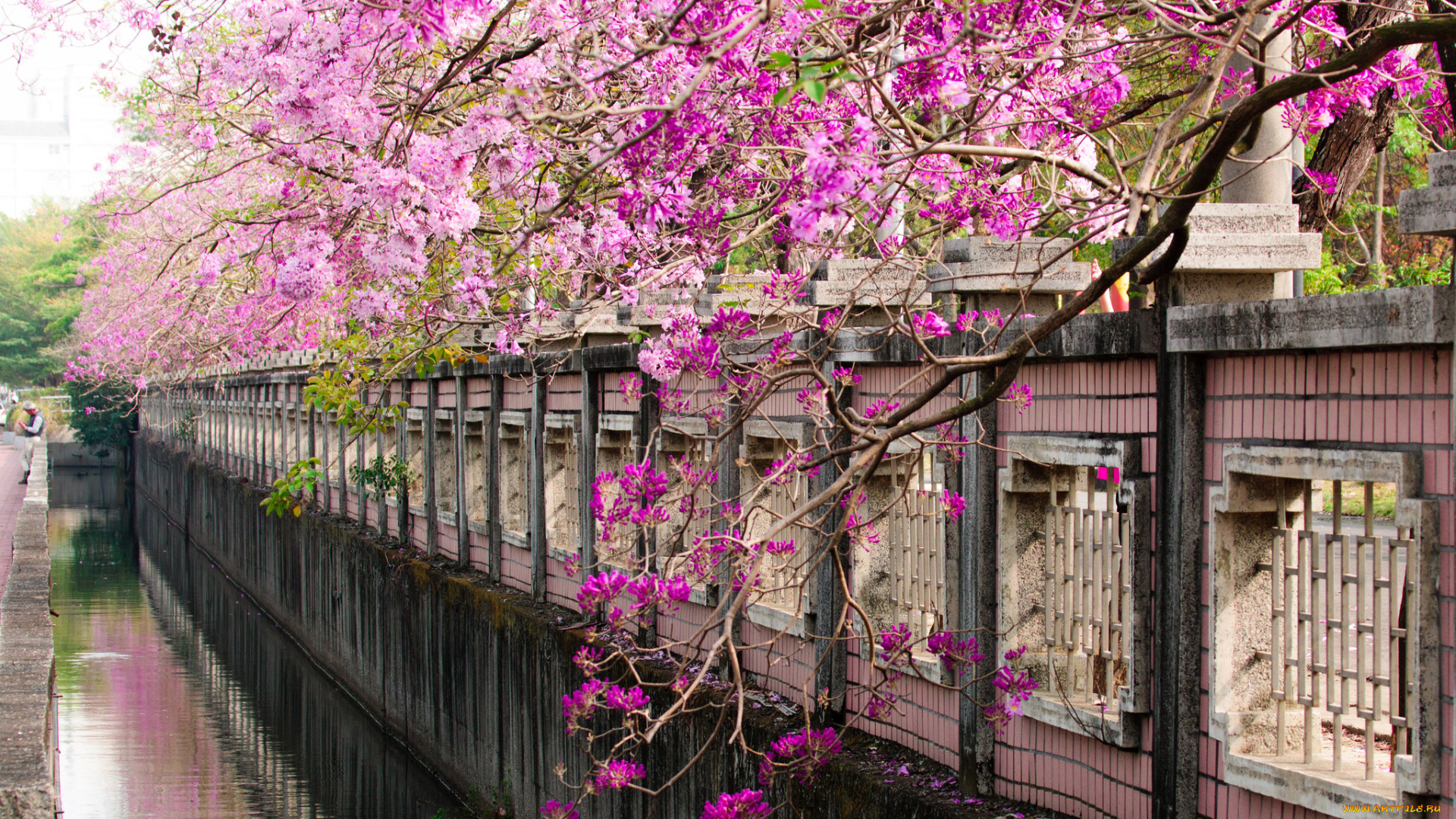 города, -, улицы, , площади, , набережные, парк