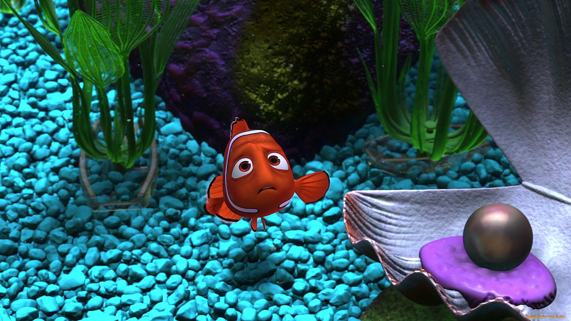 мультфильмы, finding, nemo, камешки, рыба, аквариум, жемчужина