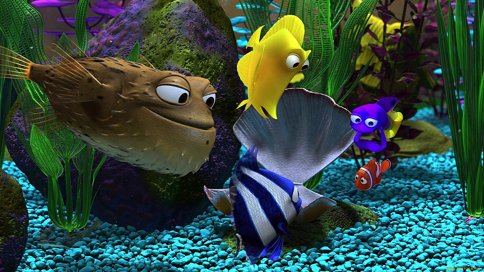 мультфильмы, finding, nemo, много, аквариум, растения, раковина, рыба
