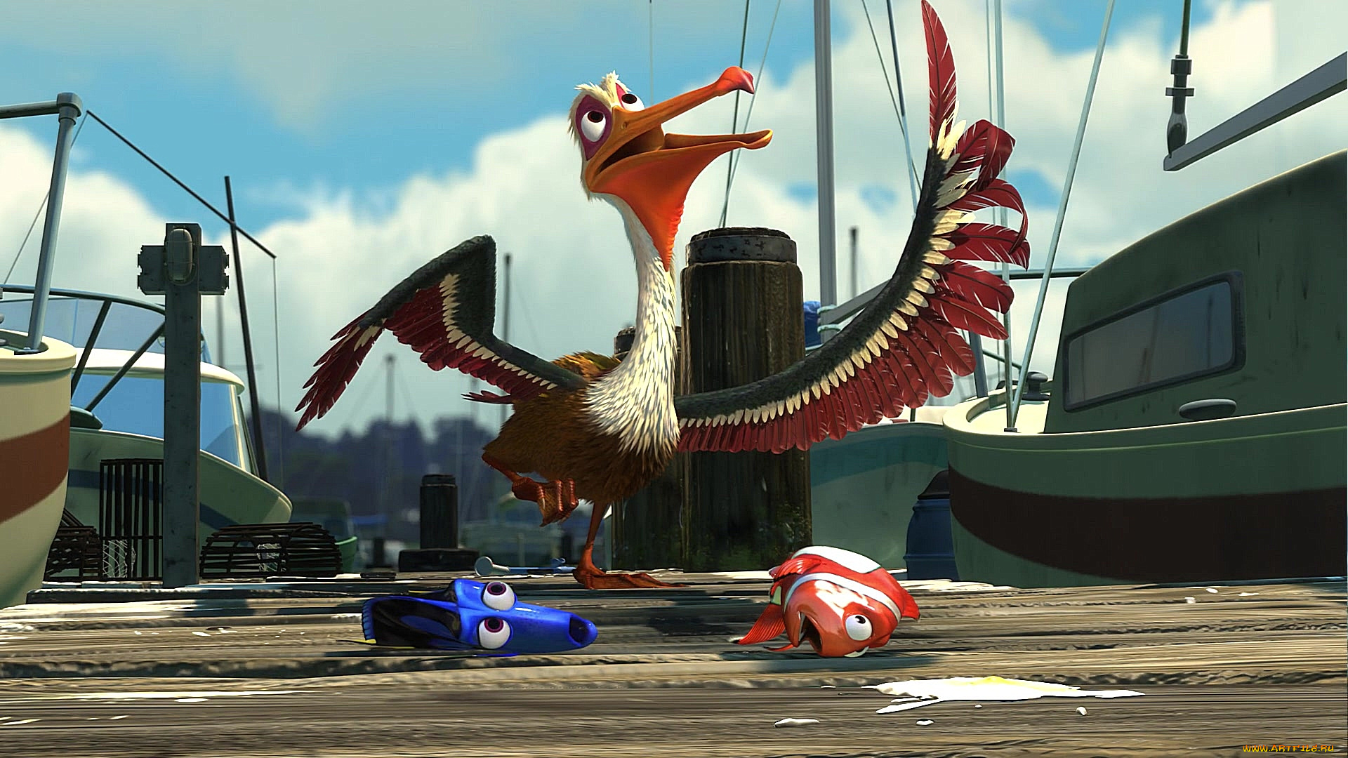 мультфильмы, finding, nemo, причал, рыба, птица, лодка